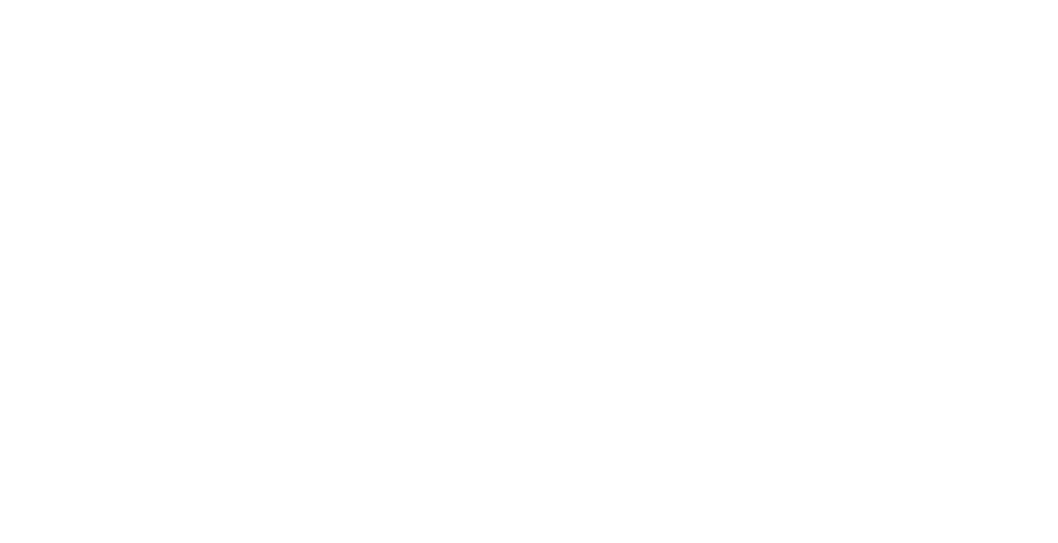 Chef Mendi