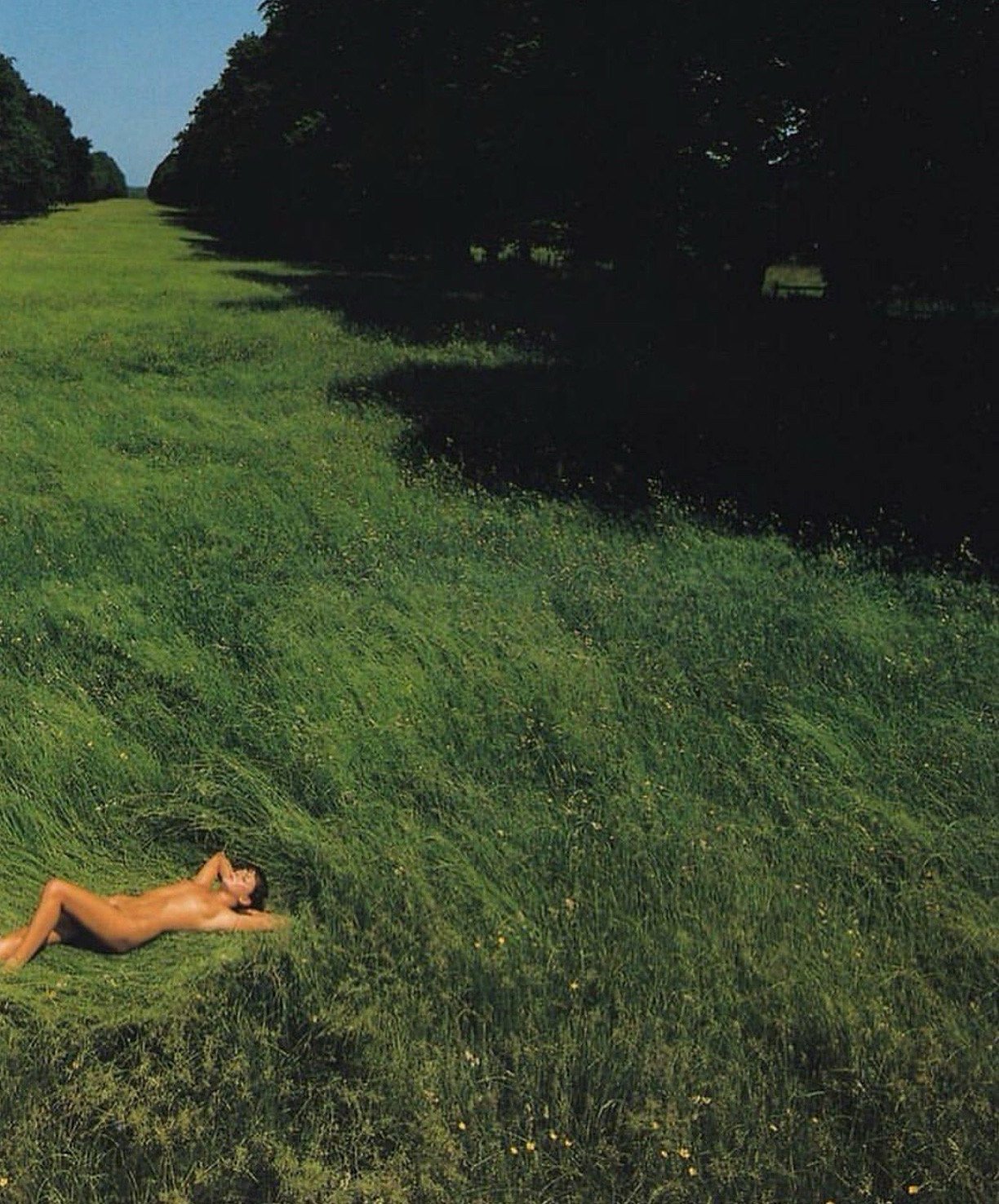 imagery via dda globe