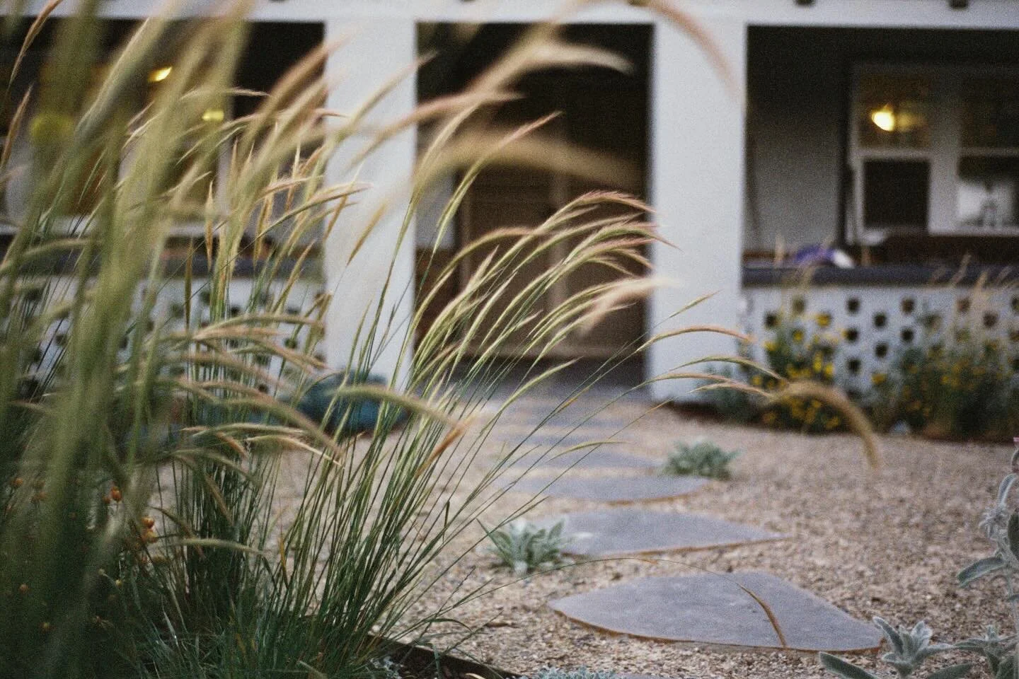 6 months of growth at Caulfield. A planting of mostly tubestock have thrived thanks to the care of wonderfully attentive clients. The most rewarding aspect of all is hearing how the space has changed the way in which this young family live. 

Capture
