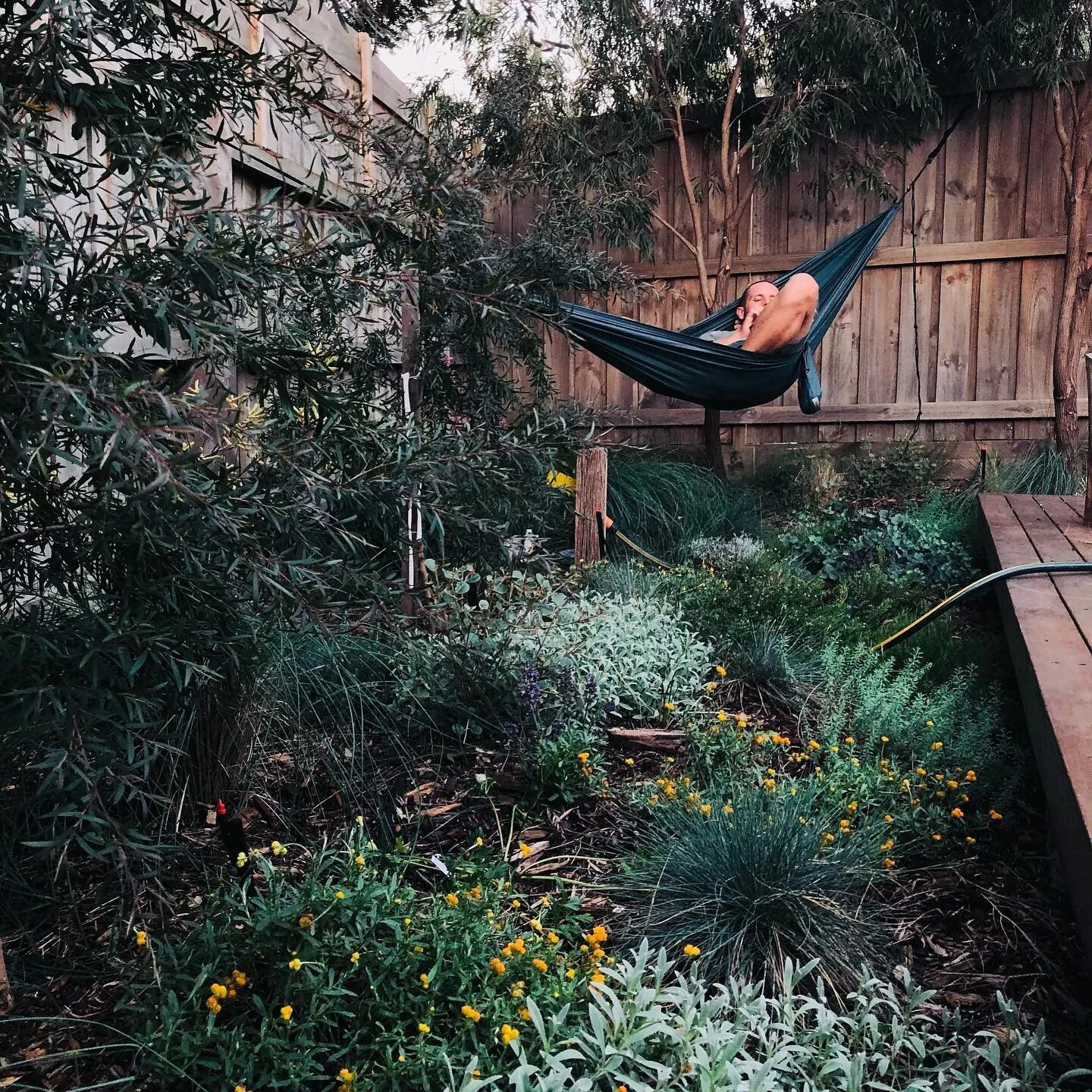 A moment of relaxation in our first little native garden. We are definitely missing this restful space since moving to our new house. We have found ourselves at a familiar beginning- lots of lawn, a few too many yuccas and lots of exciting ideas in o