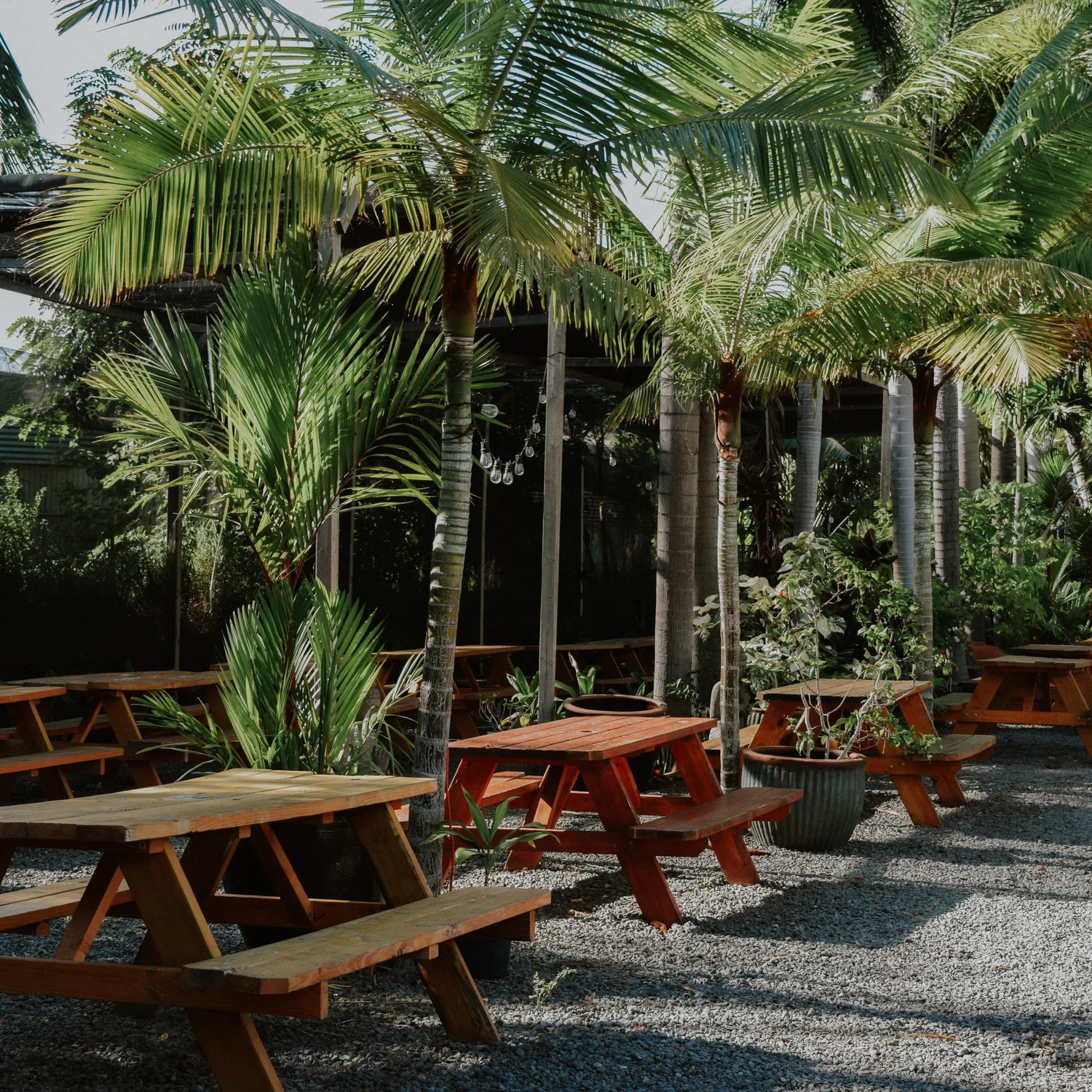 south-maui-gardens-the-hidden-oasis-of-kihei