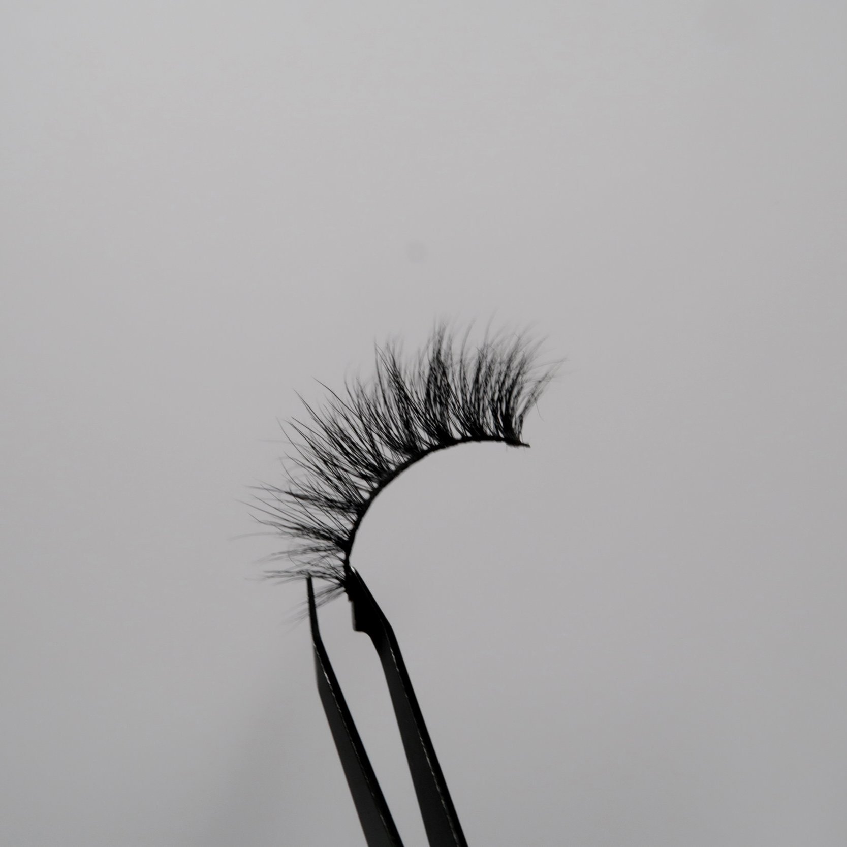 Photo+11-5-2025%2C+4+03+27+am.jpg