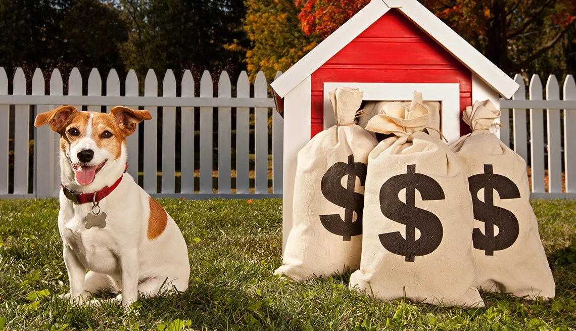 Pets in Rental Properties: The Overlooked Tax Depreciation Angle