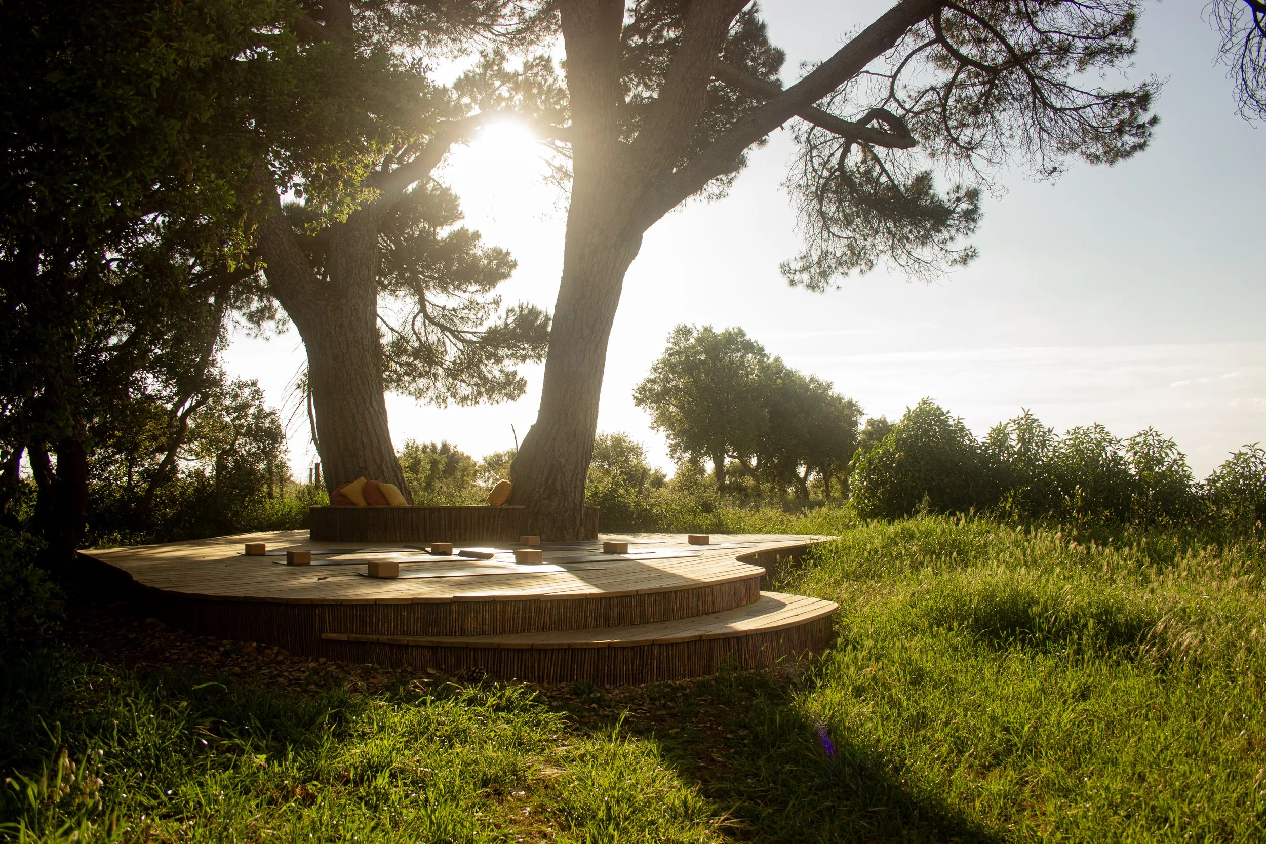 The Awakened Dance with Shamtam & Oliver