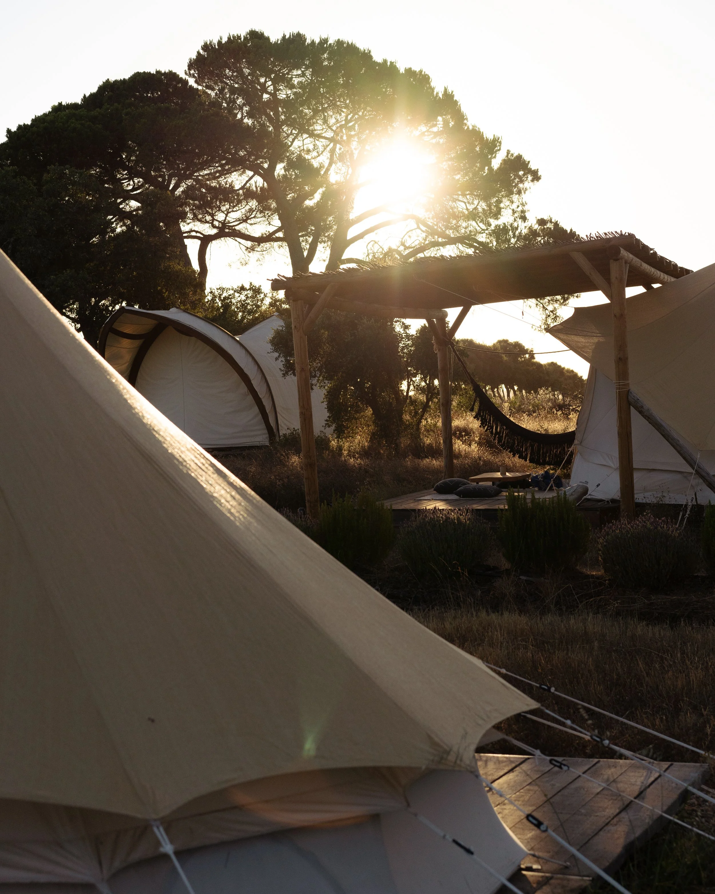 “The Healing Retreat”  with Emily Johnson