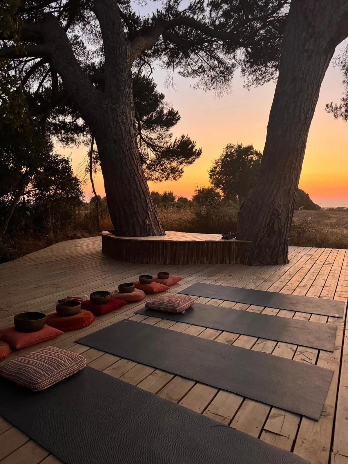 WhatsApp Image 2025-08-25 at 13.18.21 (3).jpeg