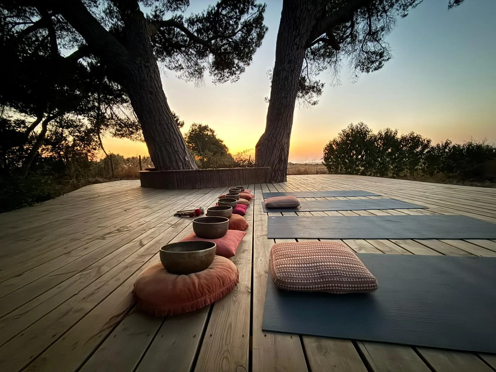 WhatsApp Image 2025-08-25 at 13.17.50.jpeg