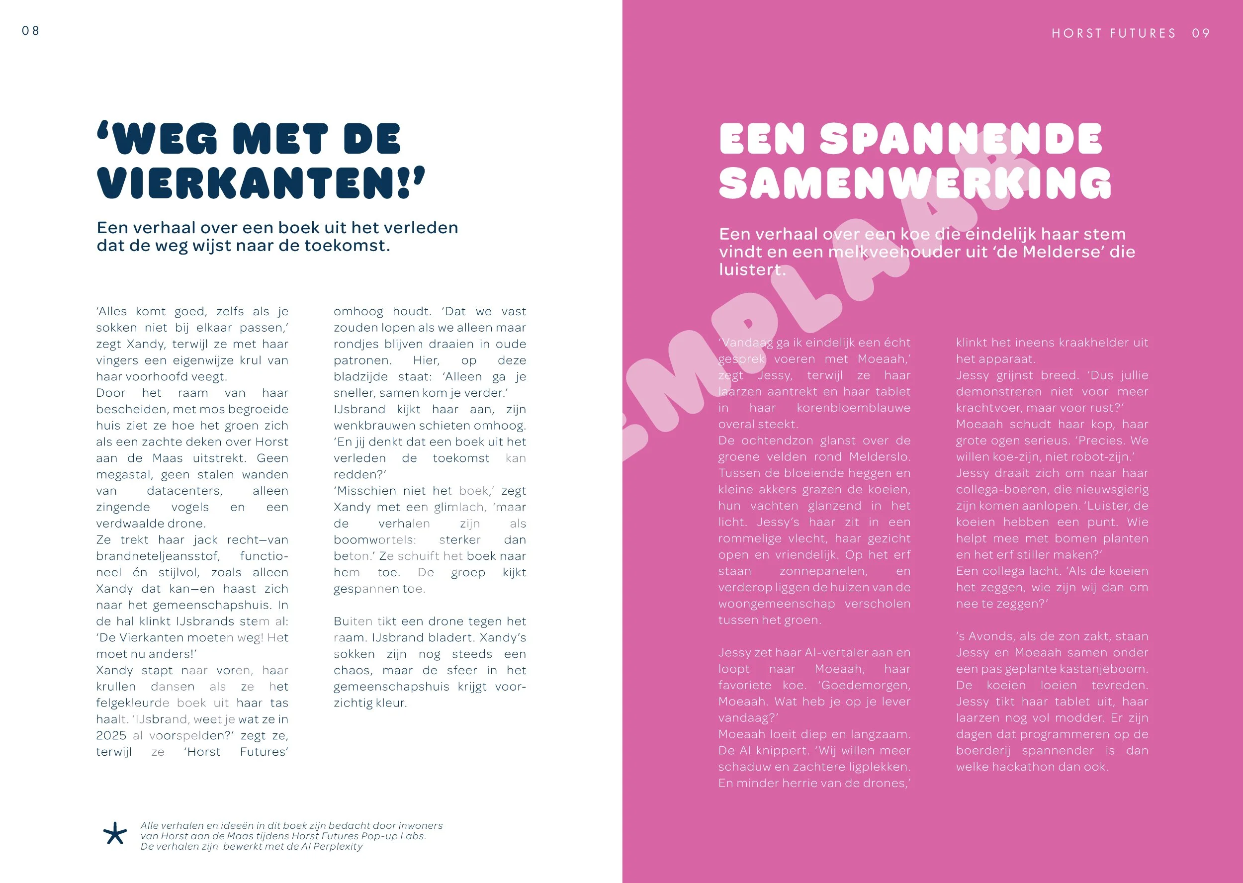 Horst Futures inkijkexemplaar10.jpg