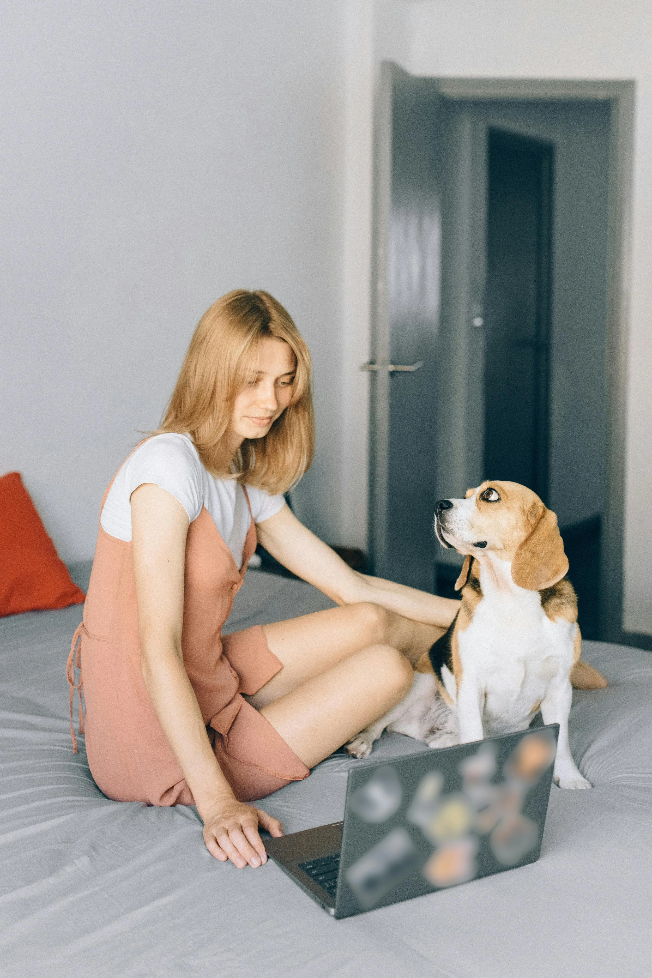 Content ideas for PET SERVICES to Use in July &amp; August 2026
