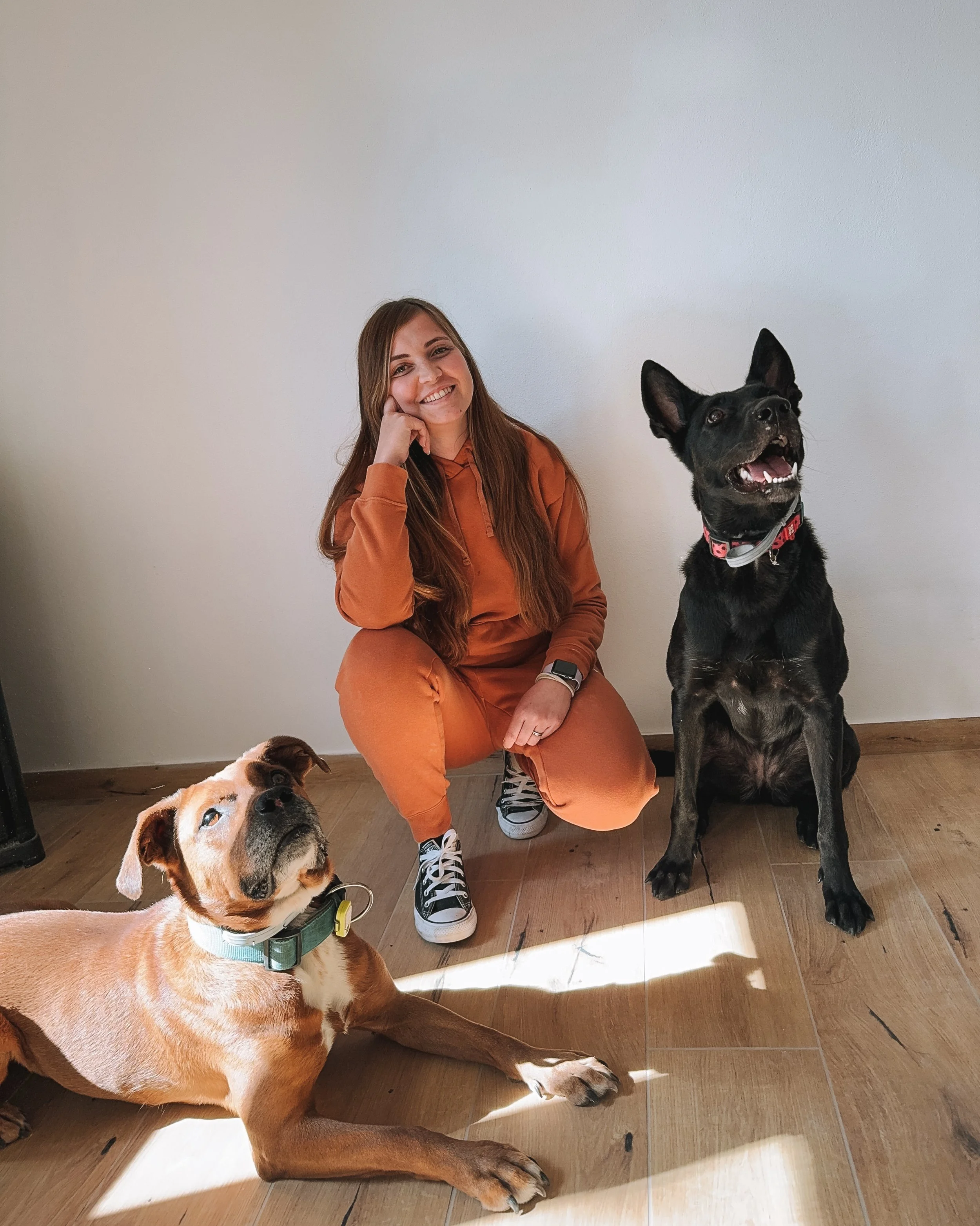 Writing a dog trainer website for humans who really love their dogs