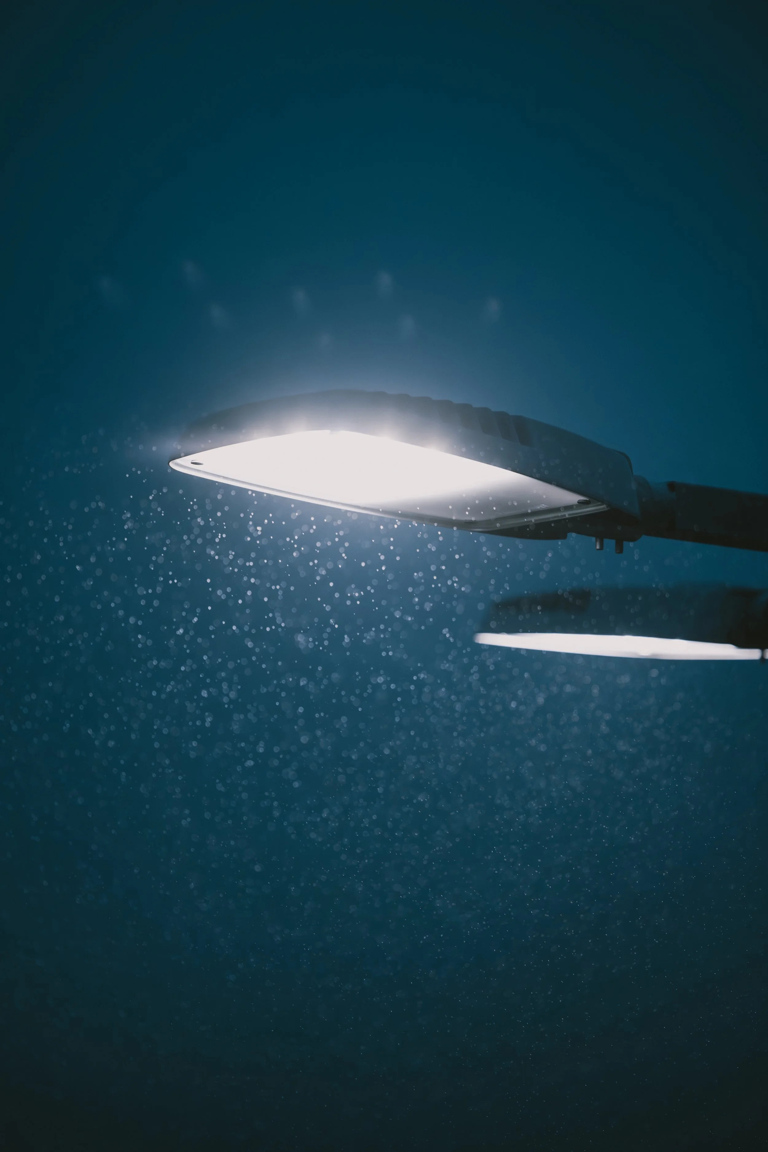 El-Finess bild 39.jpg