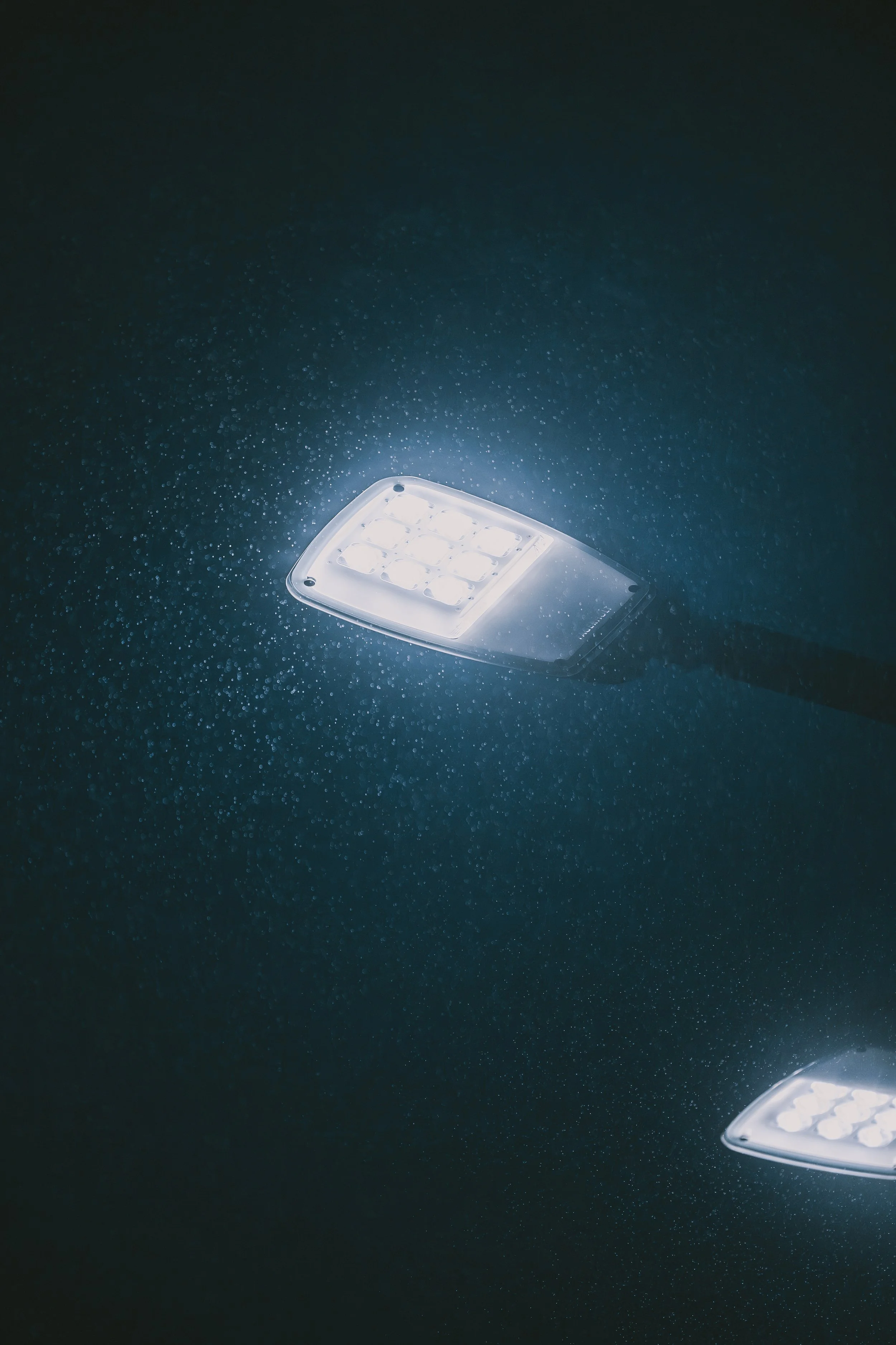 El-Finess bild 29.jpg