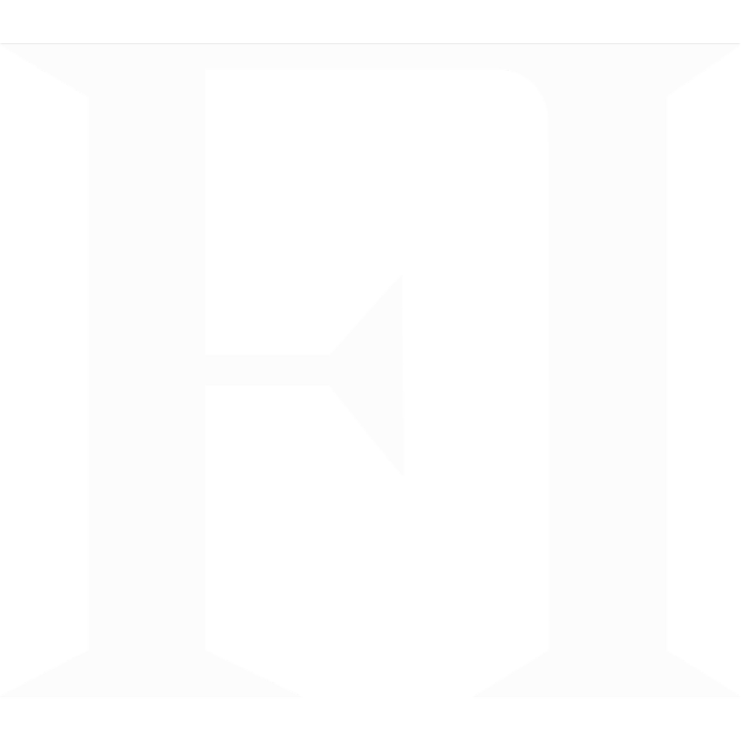 Female Initiative Business Academy