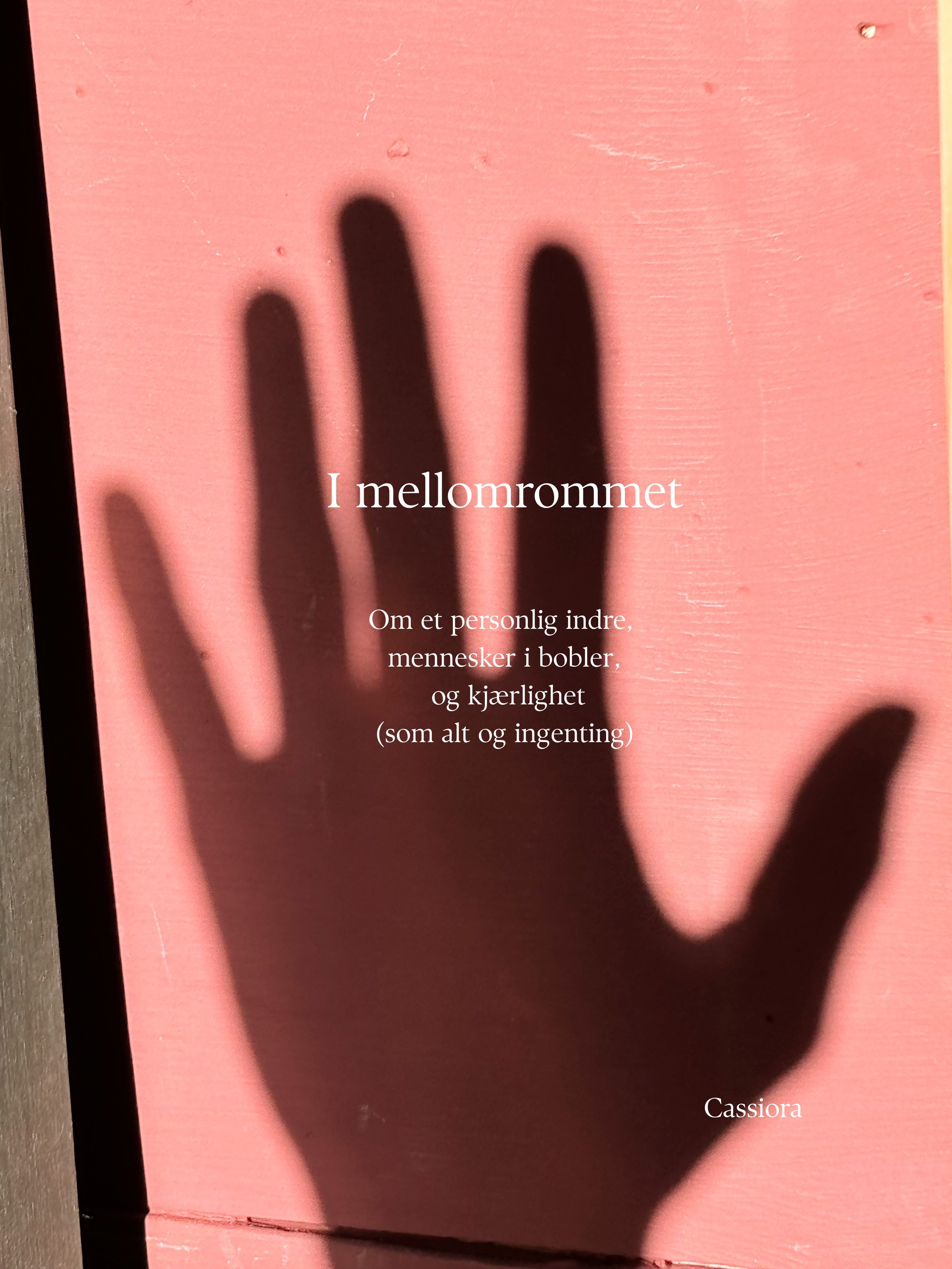 I mellomrommet: Om et personlig indre,  mennesker i bobler,  og kjærlighet (som alt og ingenting)