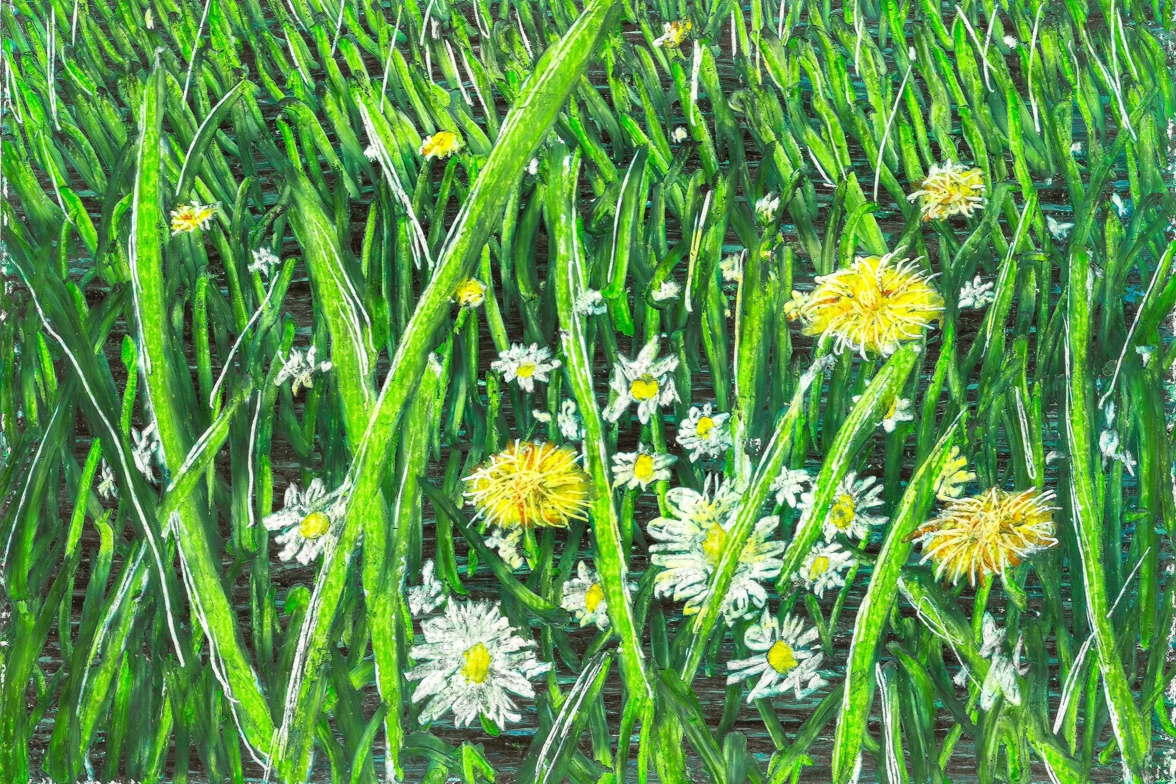 Bayerskt blomster (2024). Oljepastell på papper, ca 17x12 cm