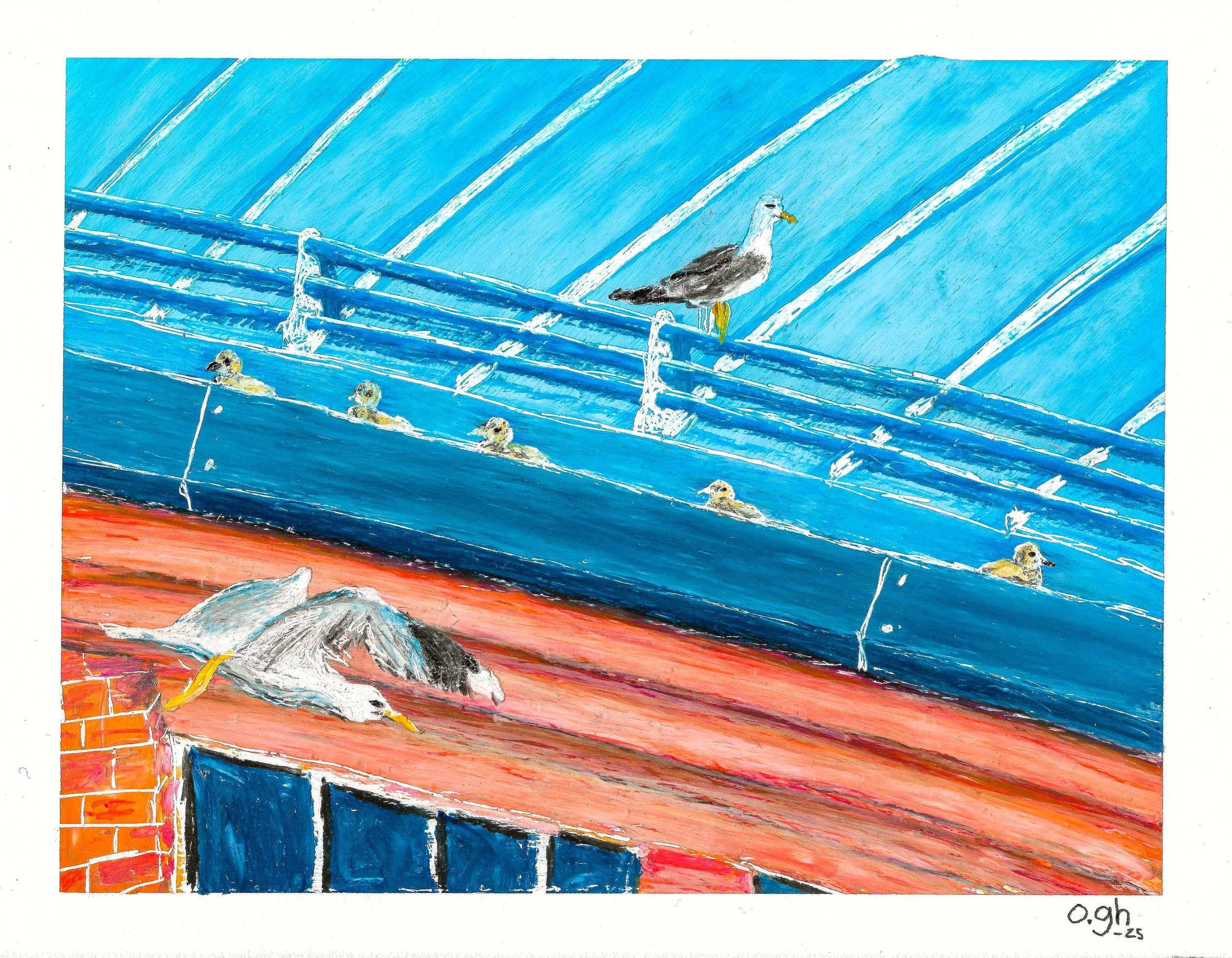 Måsarna på taket mittemot