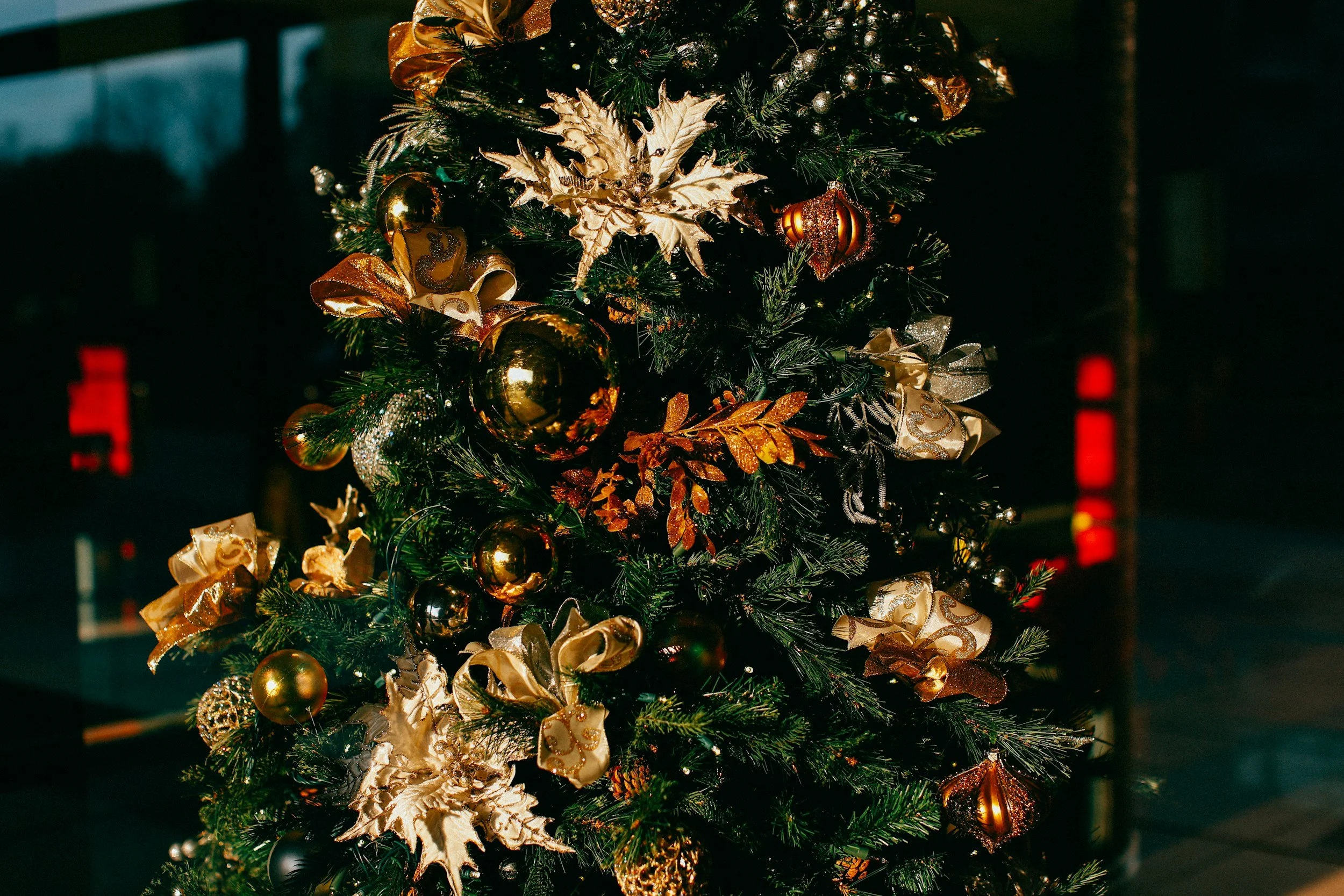 A decorated Christmas tree with gold and black ornaments, ribbons, and poinsettia leaves in a dark setting.