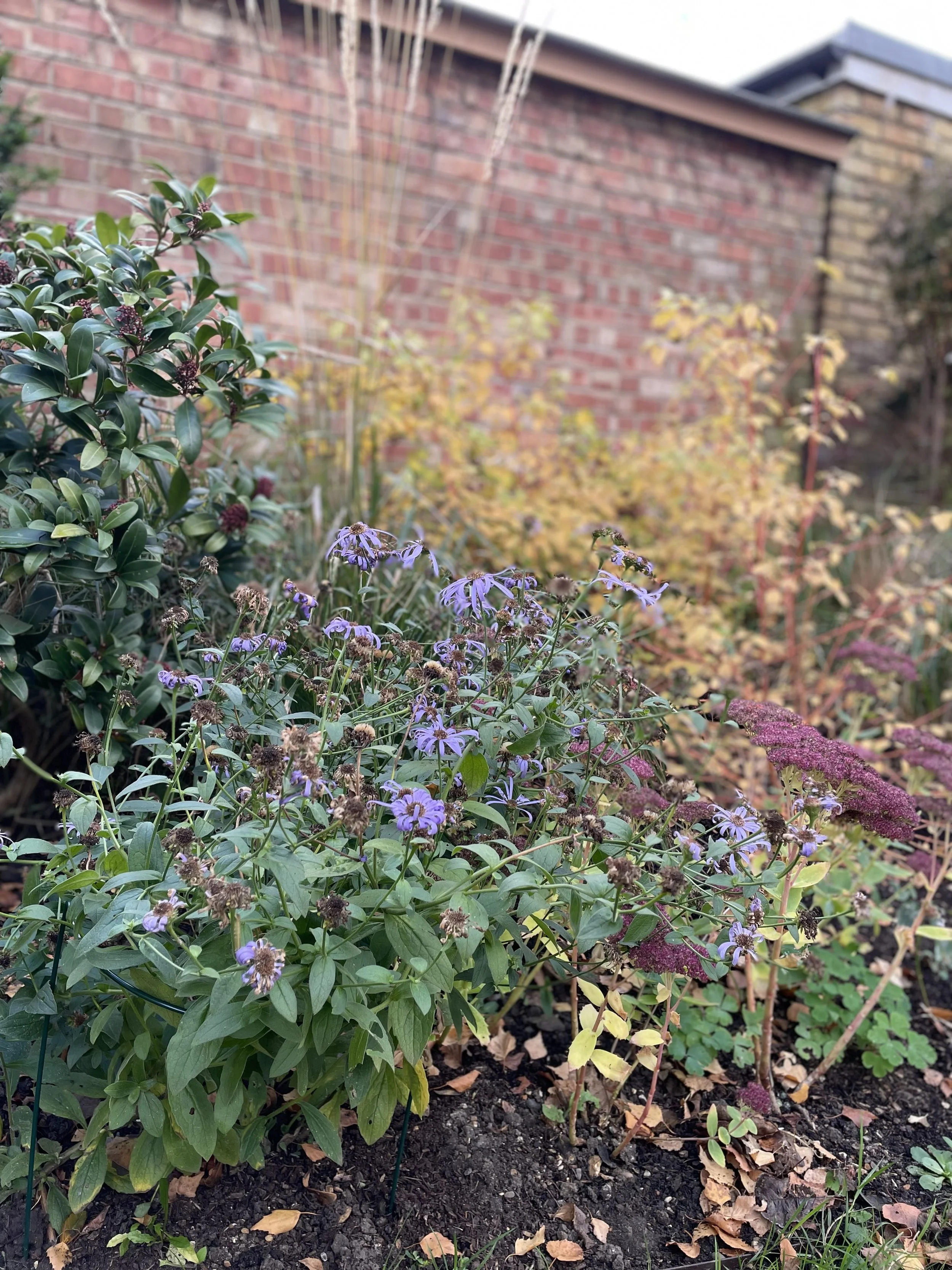 IMG_7288.jpeg