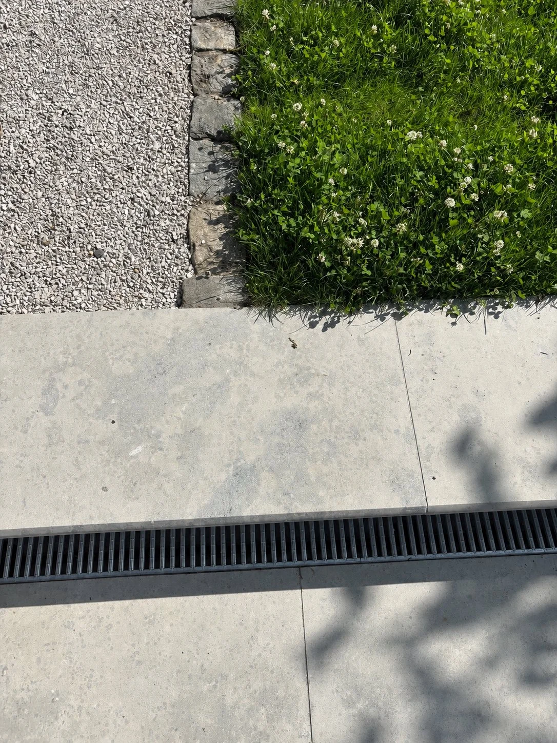 336835BF-77F0-4649-8698-C2F62469AB83.jpg