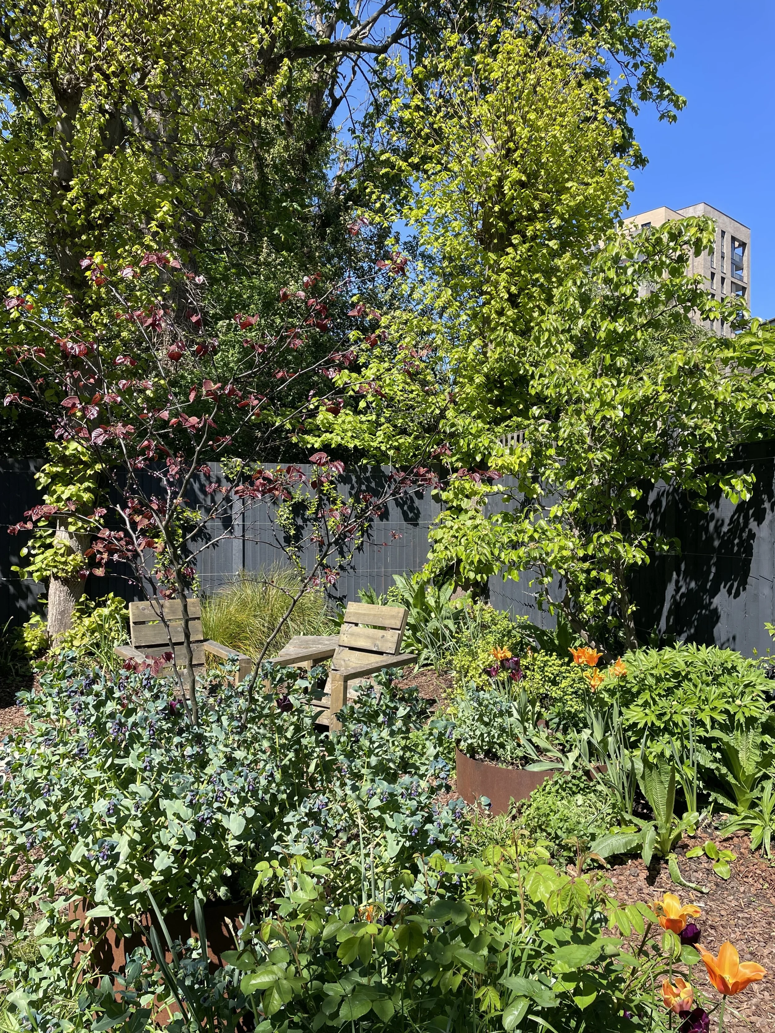Woodland Walk Garden
