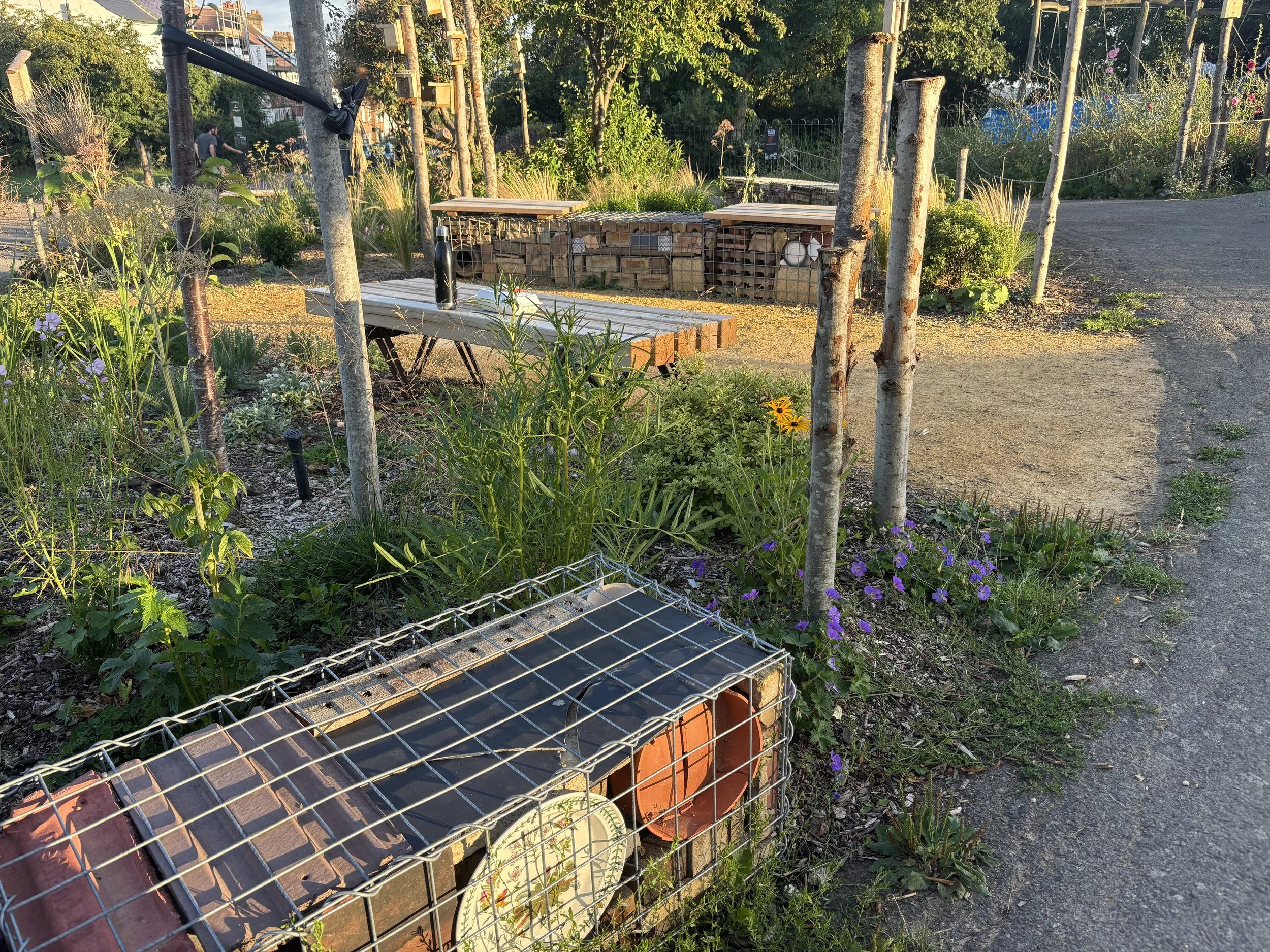 Community Garden