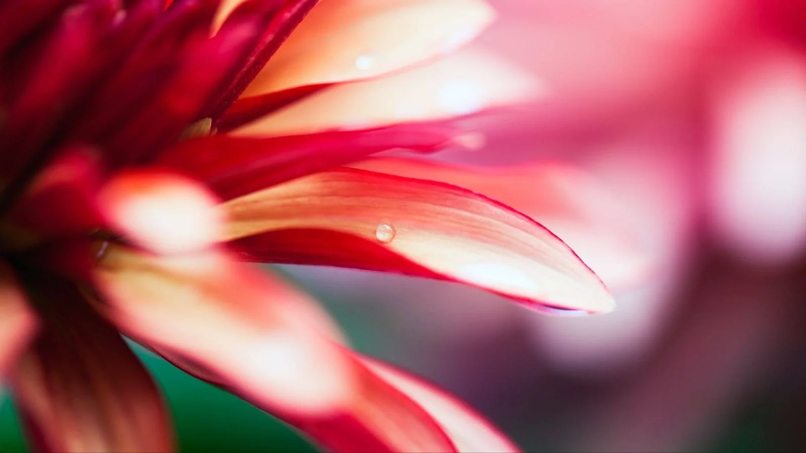 Effective Self-Care and Stress Management Tips for Busy Lives