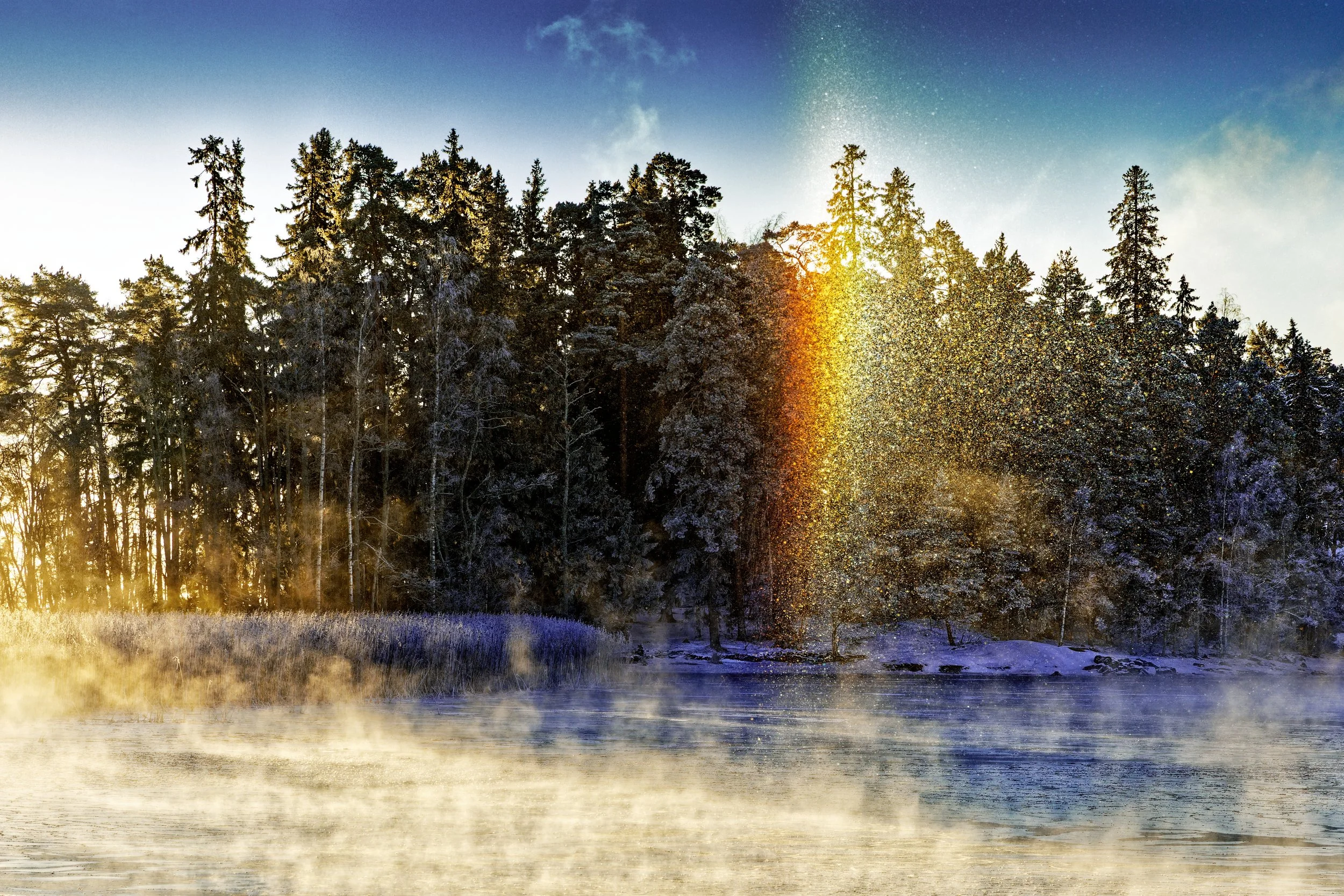 Winter sparkle.jpg