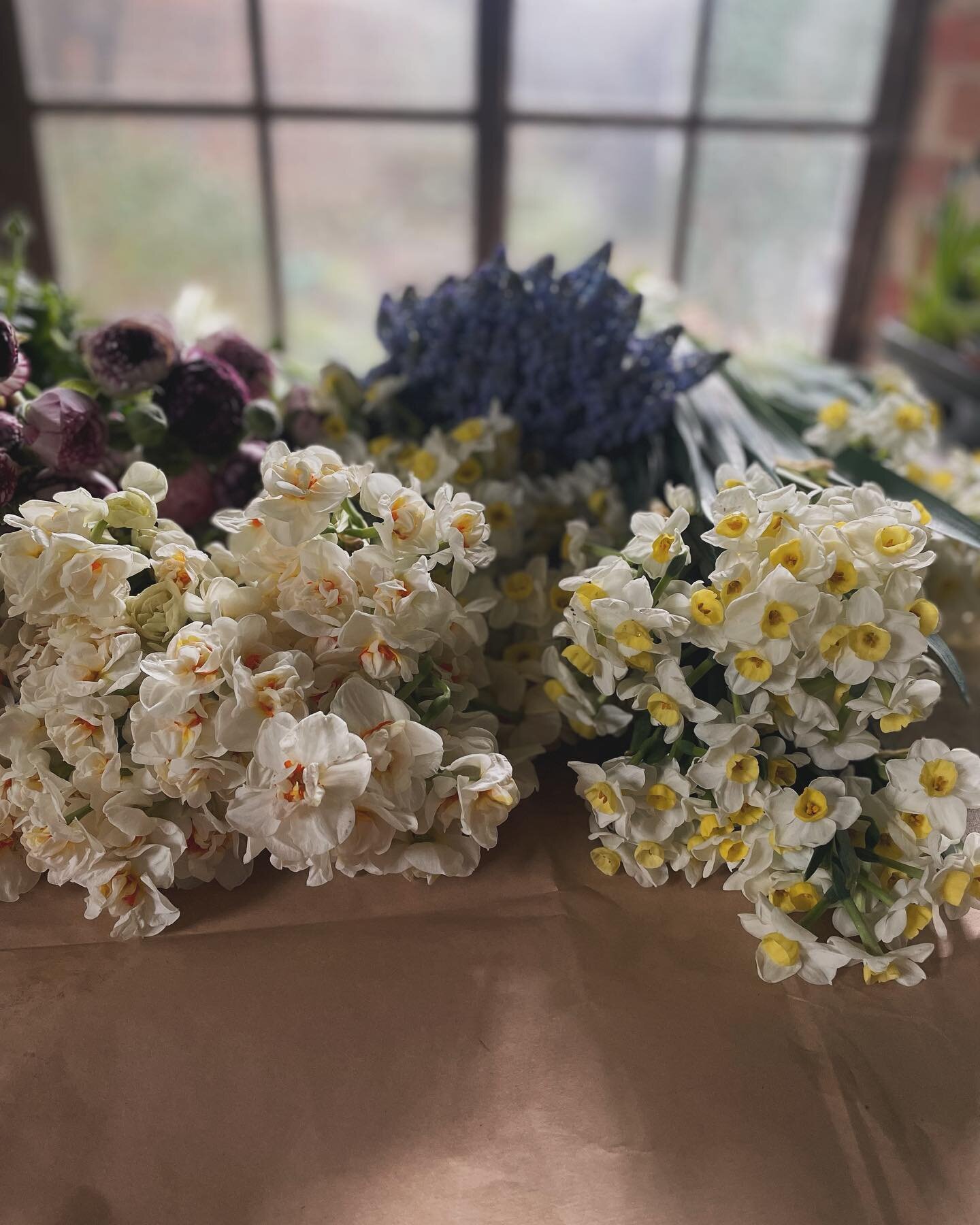 My flowers have arrived ready for Mother&rsquo;s Day. A wonderful mix of Narcissus, Ranunculus &amp; Tulips being tucked up in my workshop ready for making. It&rsquo;s so good to be making again after a very long Winter. Look out for your boxes arriv