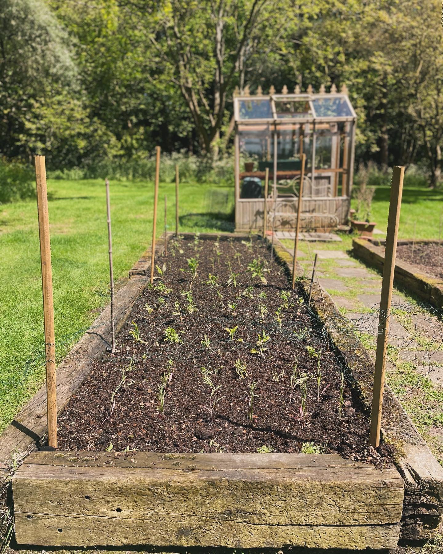 This year we have taken on a few new exciting projects alongside our own growing and creating flowers for weddings &amp; events. 

We were asked at the beginning of the year to create cutting beds for @nest.stay within a beautiful Sussex garden 

We 