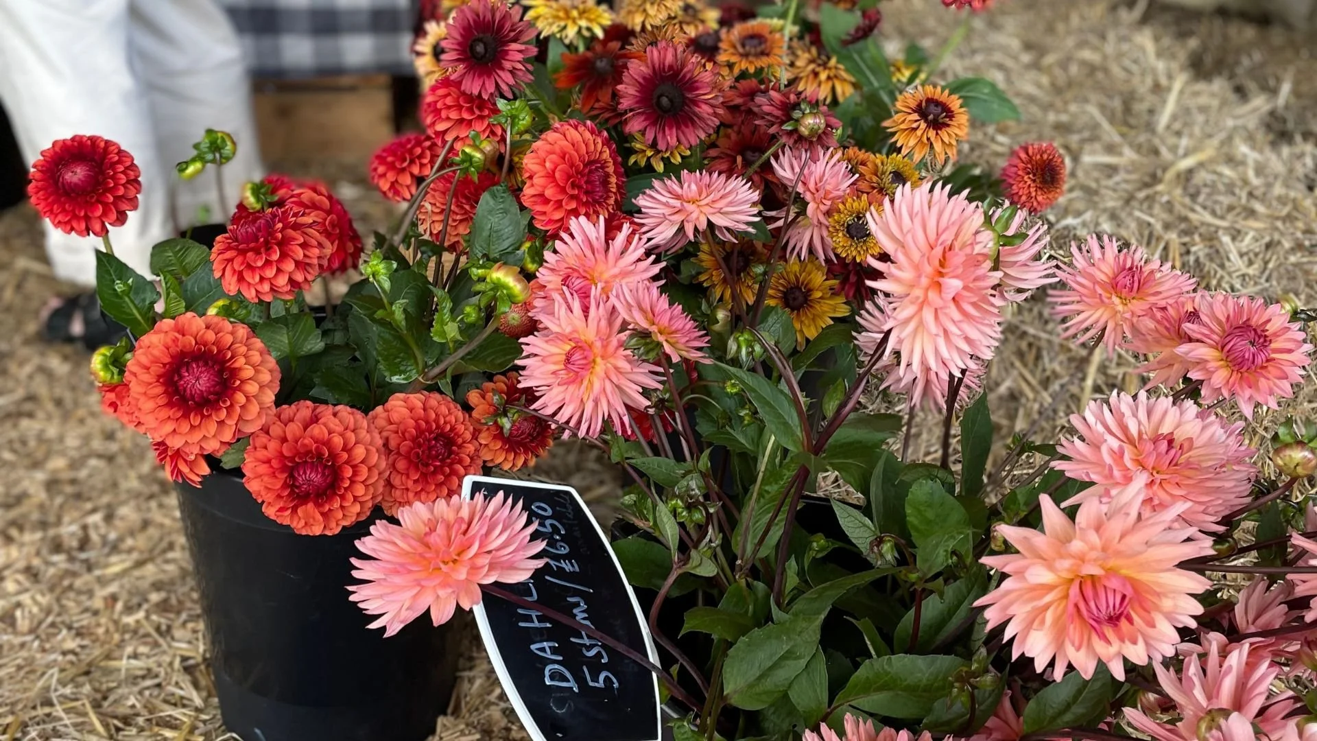 The Homegrown Market - Presentation Kent.zip - 13.jpeg