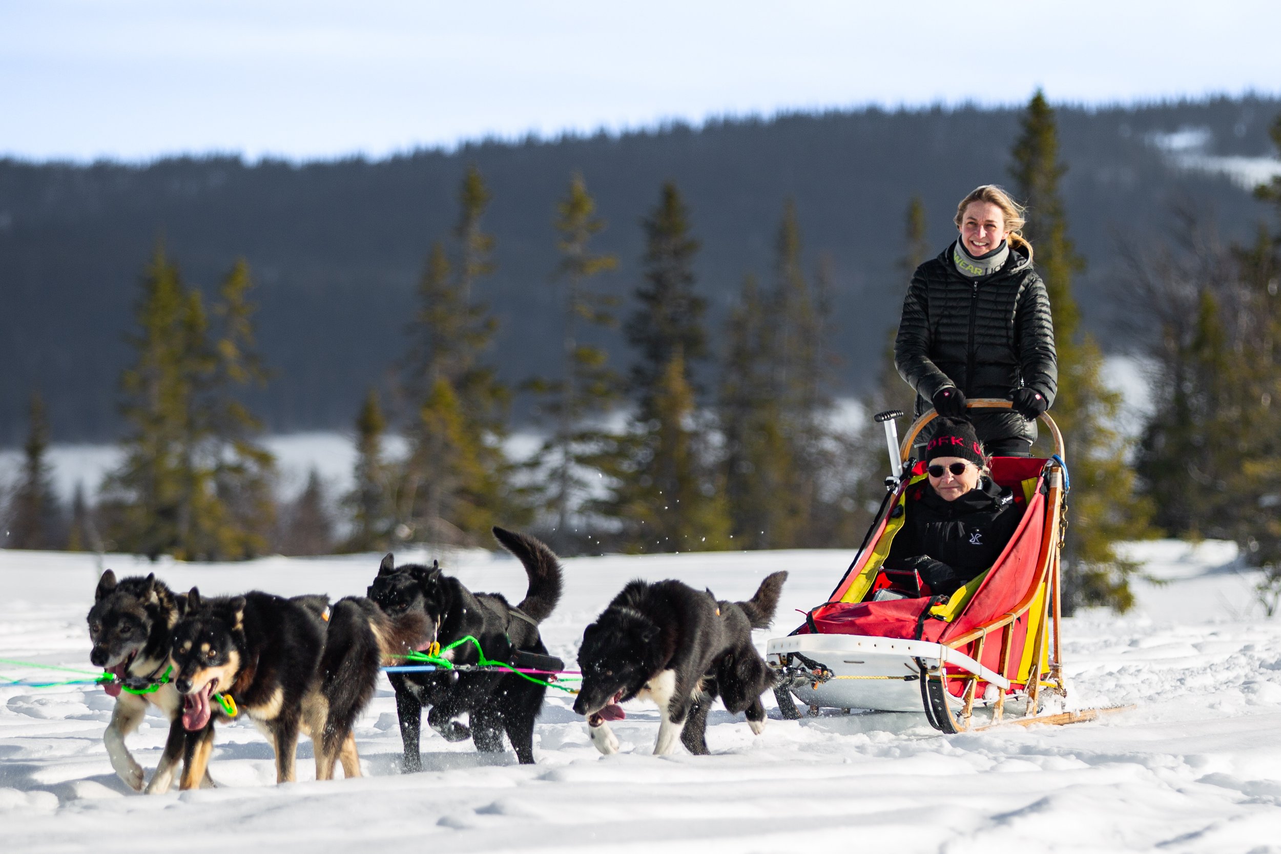 Zwei Frauen, eine im Schneescooter sitzt, die andere steht und lenkt ein Hundeschlitten durch eine verschneite Winterlandschaft mit Bäumen im Hintergrund.