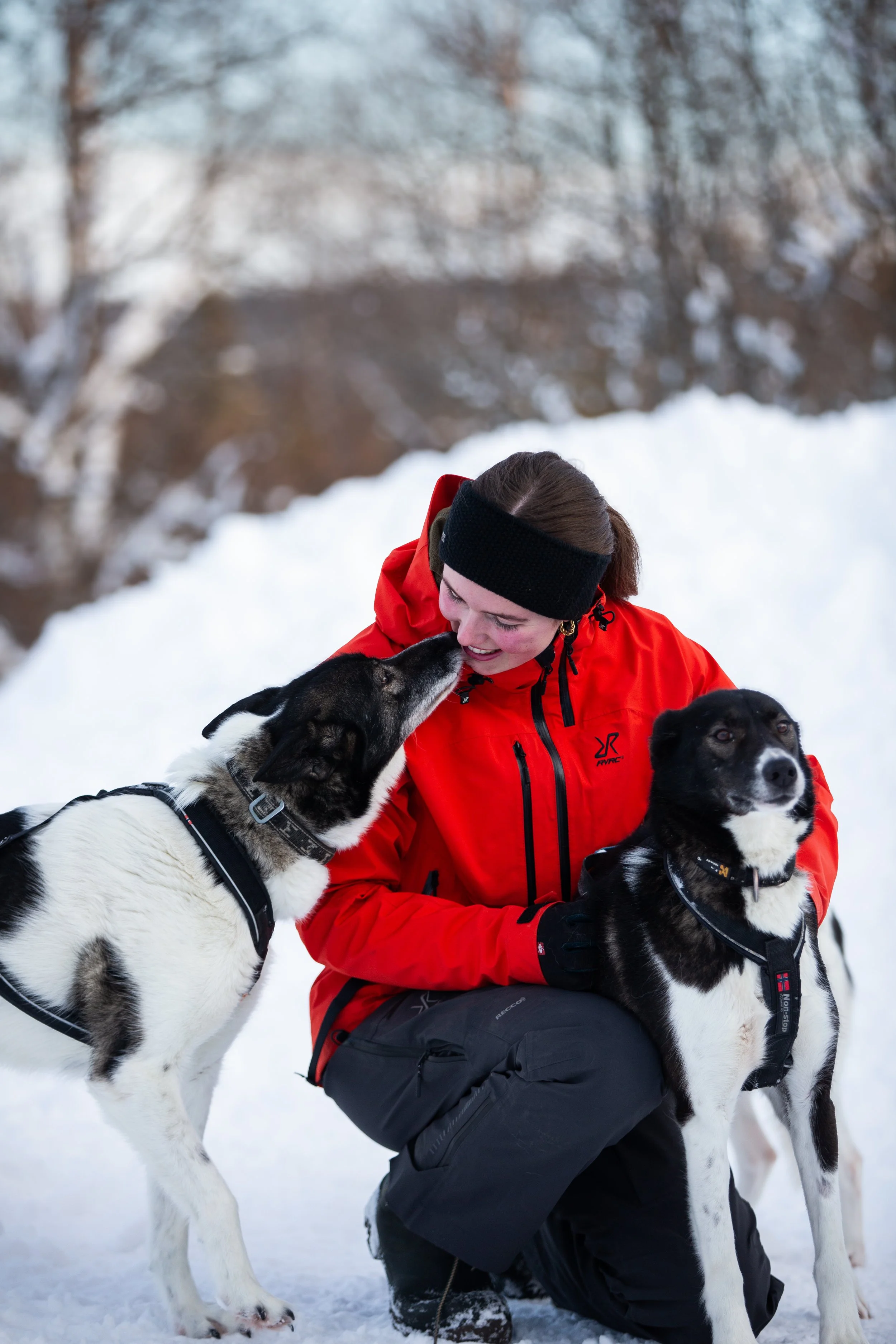 Eine Frau in warmer Winterkleidung, die in einer verschneiten Landschaft mit zwei Islandhunden spielt.