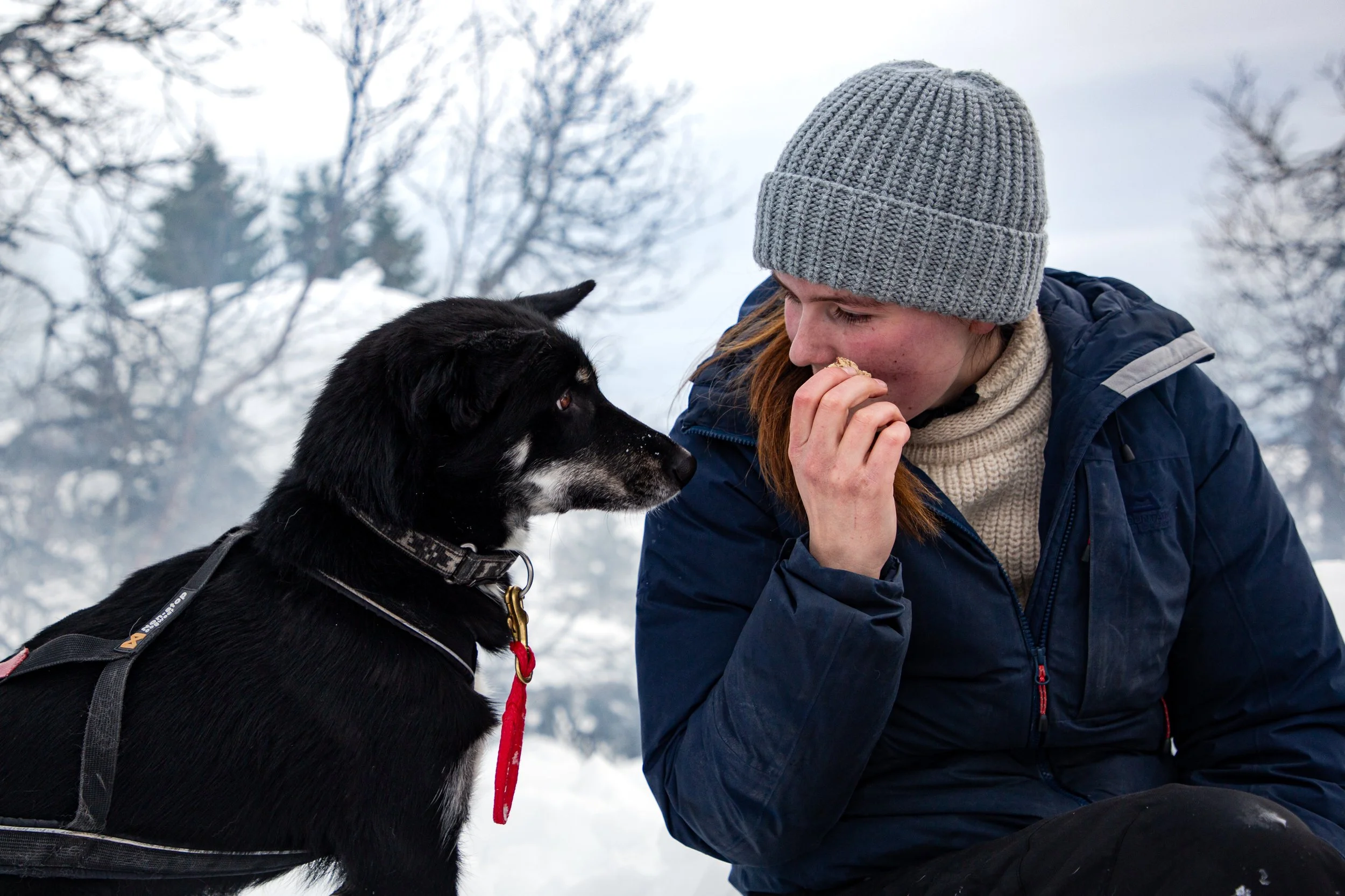 Frau und Hund bei Schneewetter im Freien.