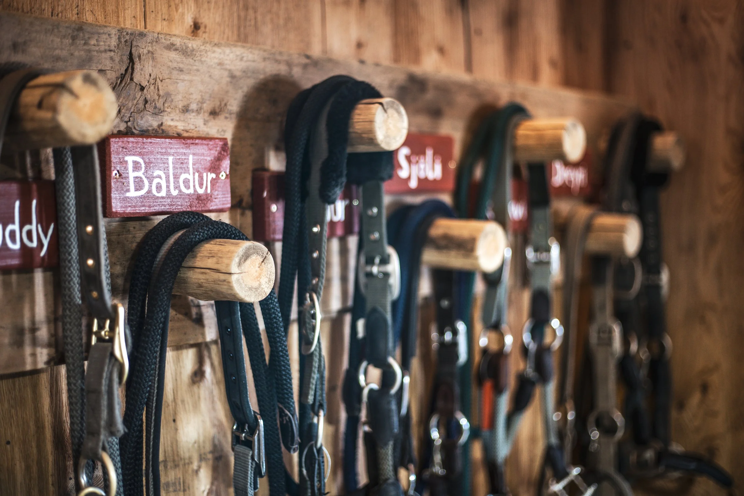horse stable .JPG