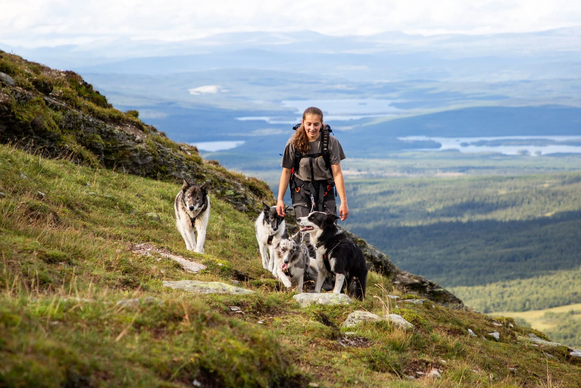 Eine junge Frau wandert mit fünf Huskies auf einer bergigen Wiese mit Blick auf einen See im Hintergrund.