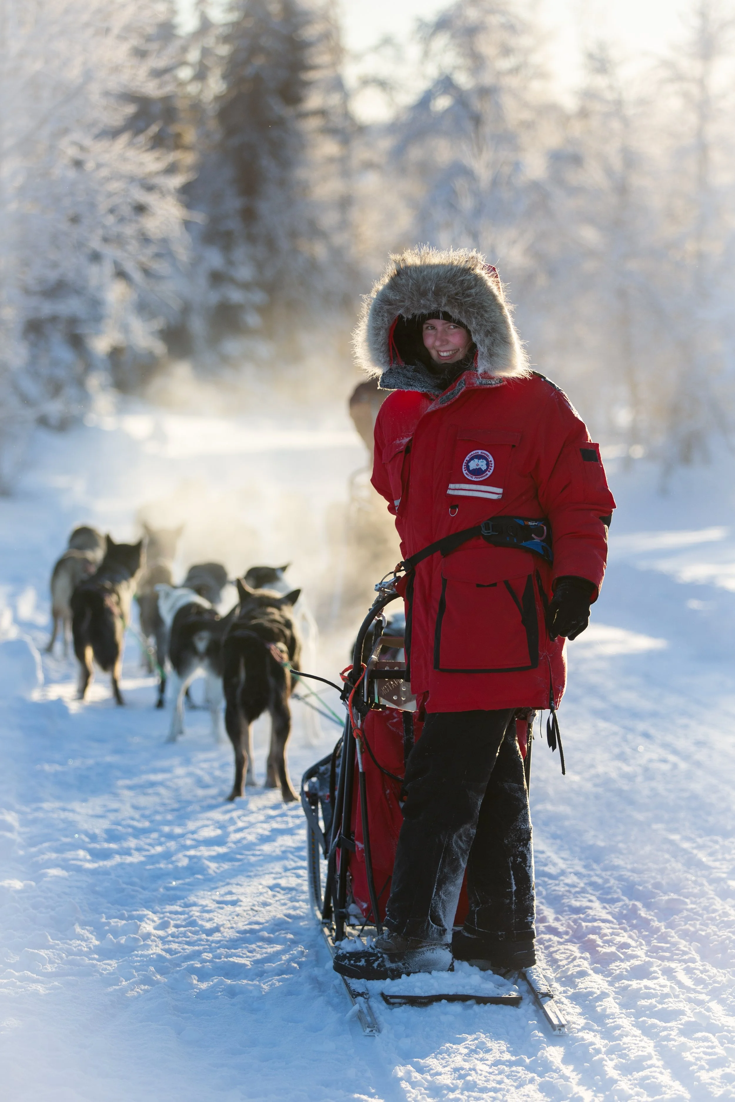 Woman driving a dogsled