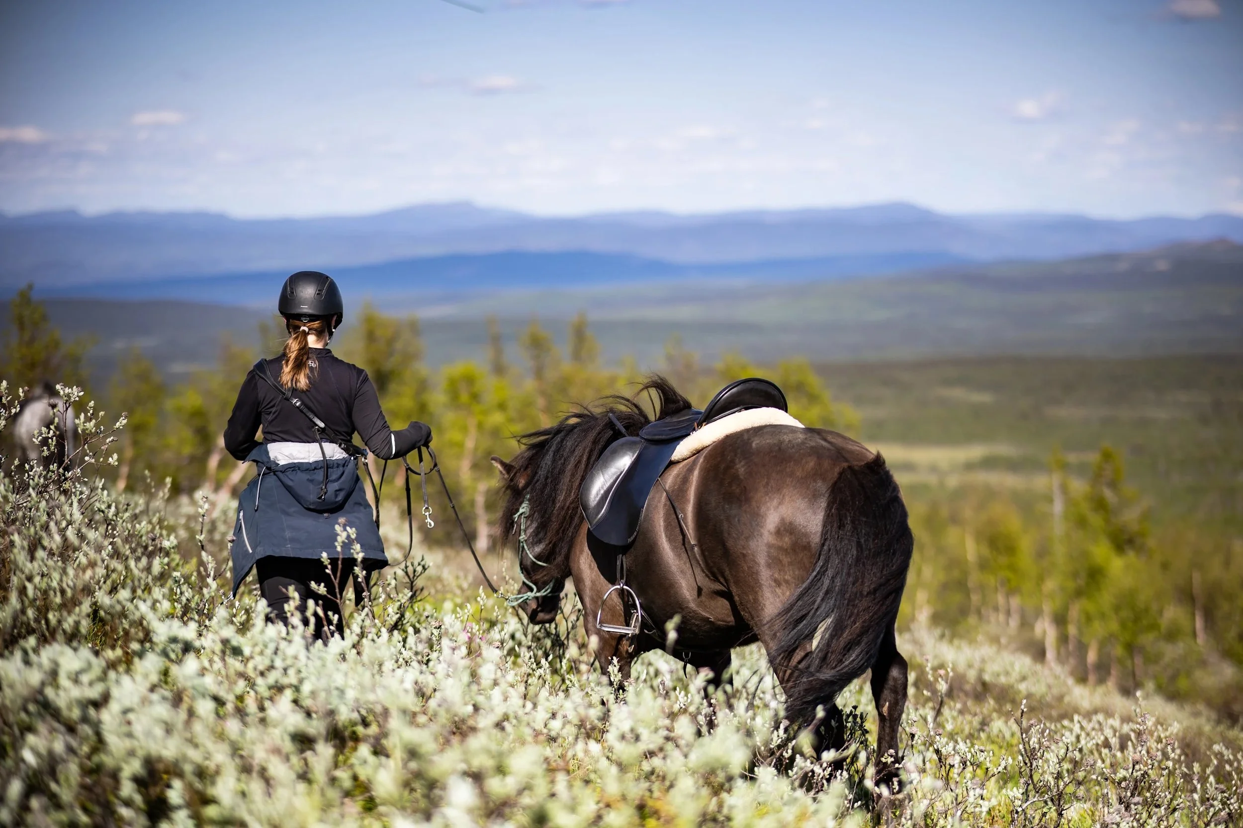 Eine Person reitet mit einem Pferd durch eine offene, grüne Landschaft mit Bäumen und Bergen im Hintergrund.