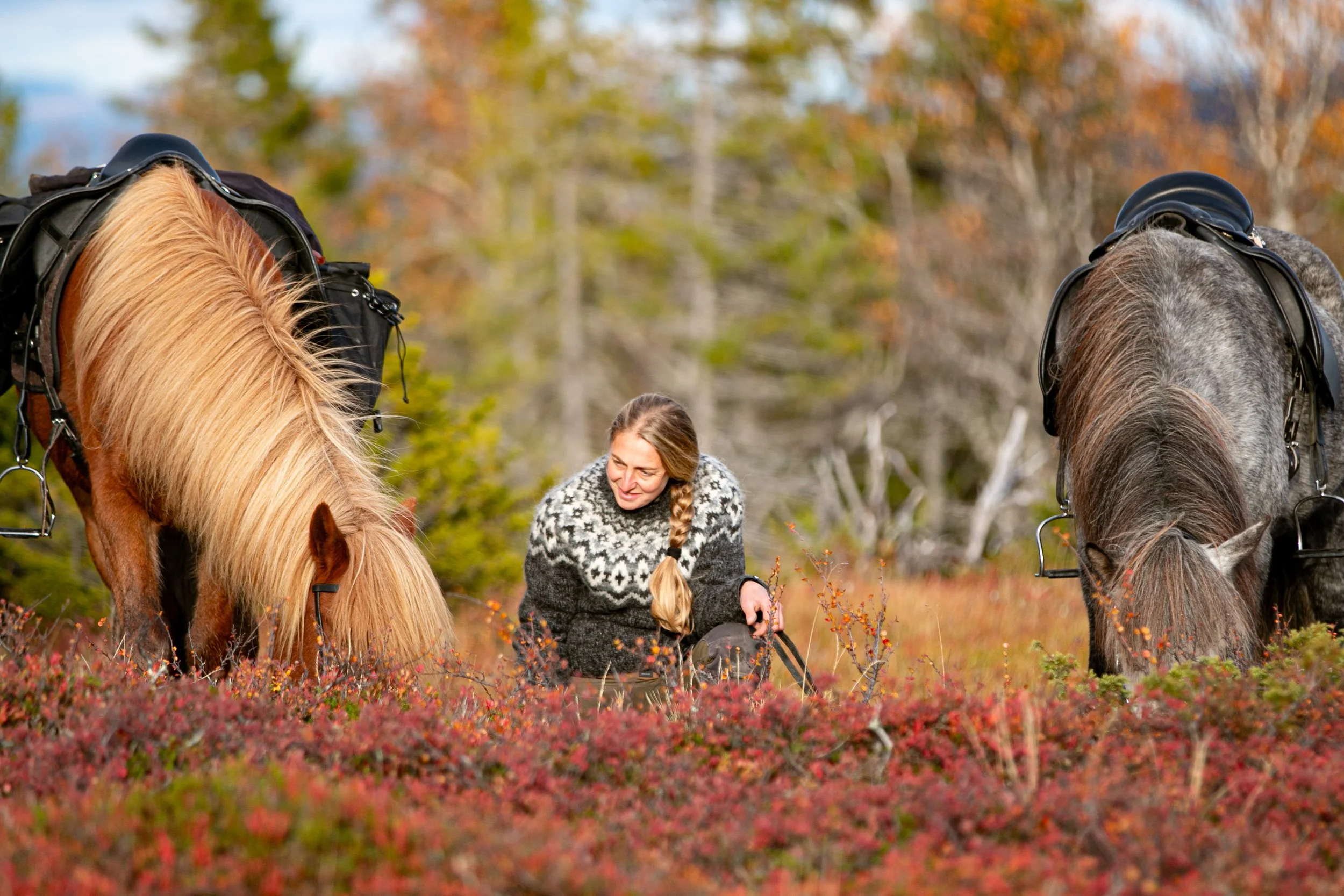 Eine Frau sitzt zwischen zwei Pferden auf einer Wiese mit roten und orangefarbenen Blumen, im Hintergrund Bäume mit herbstlichen Blättern.