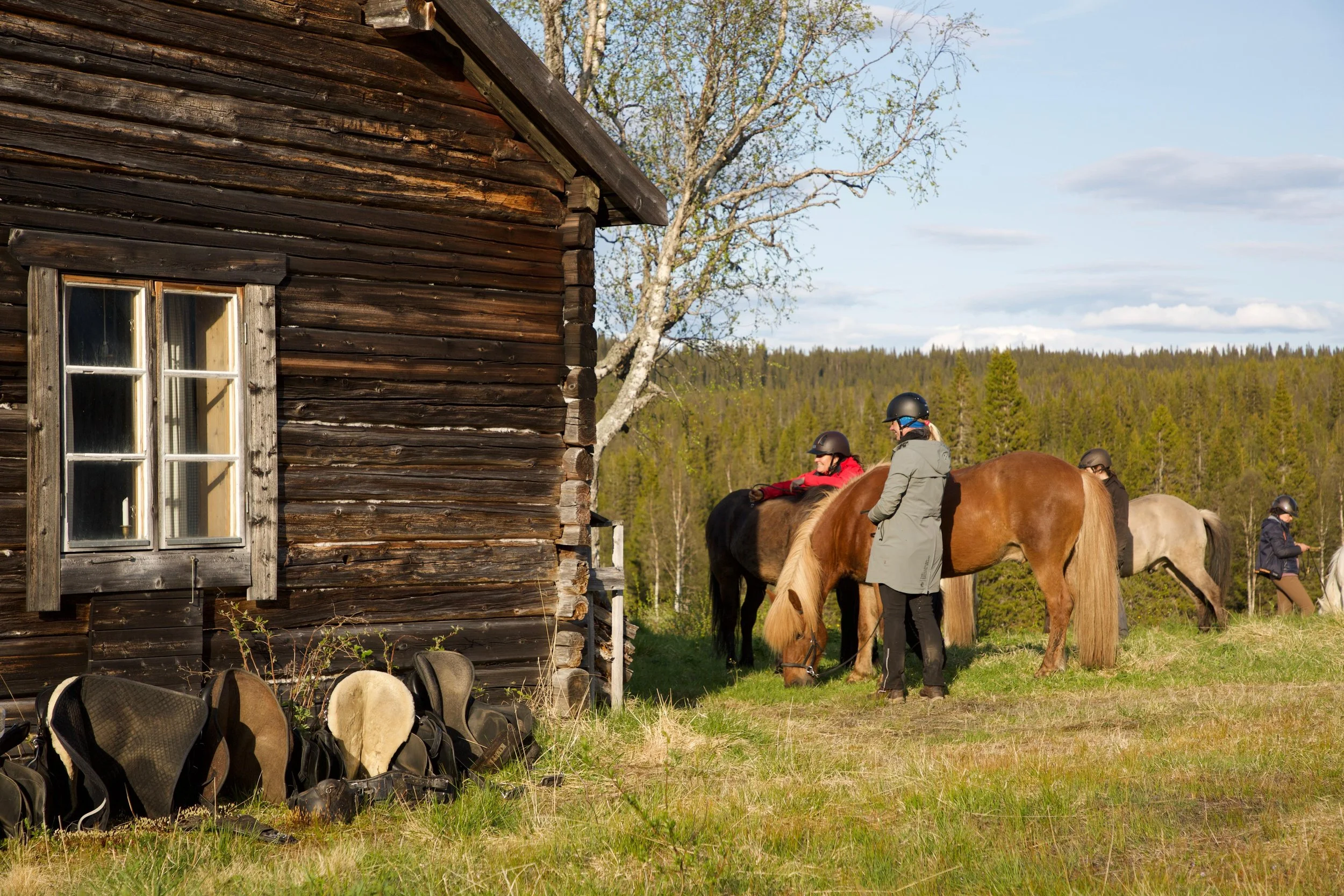 Menschen mit Reithelmen und Jacken beim Reiten neben einem alten Holzhaus in einer Wiesenlandschaft, im Hintergrund ein Wald, die Pferde stehen auf der Wiese und werden von den Reitern gehalten.