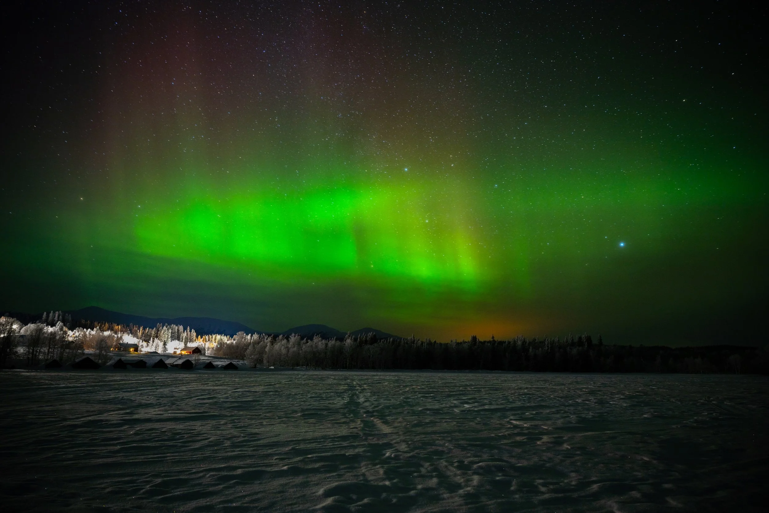 Nordlichter leuchten grün am Nachthimmel über verschneitem Feld, mit Bäumen und Hütten im Hintergrund.