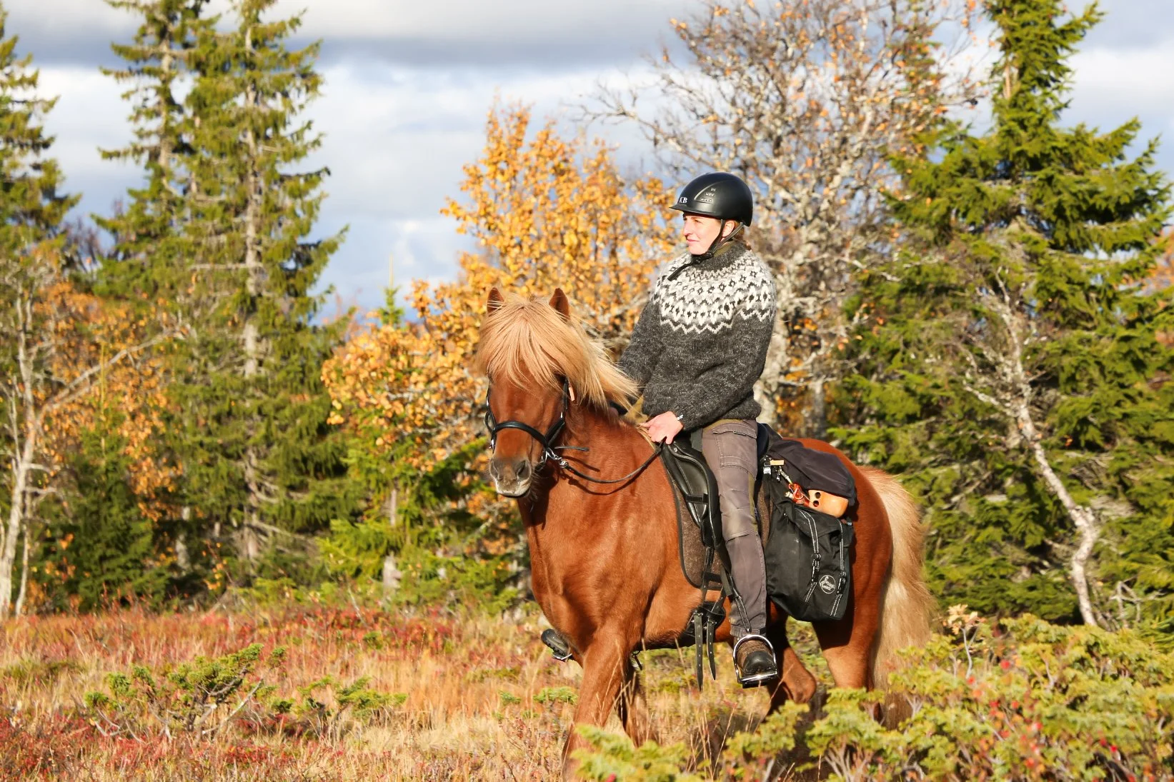Eine Person reitet auf einem braunen Pferd durch eine herbstliche Landschaft mit buntem Laub und Nadelbäumen, trägt einen Helm und einen Pullover mit Muster.
