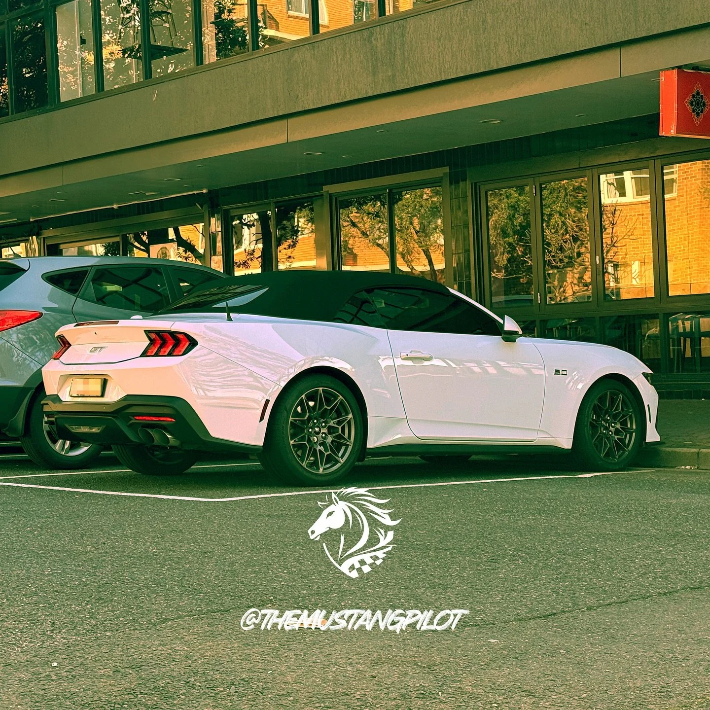 Ford Mustang 🐎 #themustangpilot #spotto #fordmustang #fordperformance #ford100 #sydney  #chasinghorizons