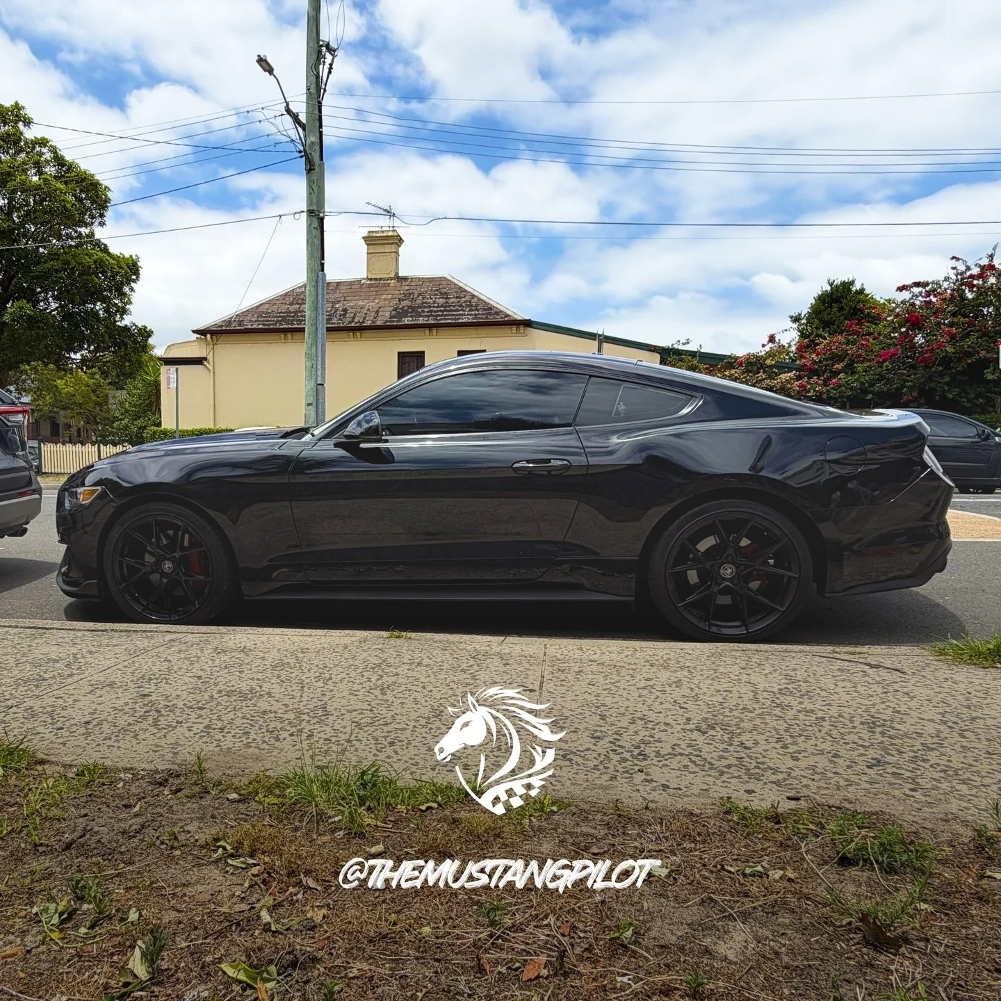 Ford Mustang 🐎 #themustangpilot #spotto #fordmustang#chasinghorizons