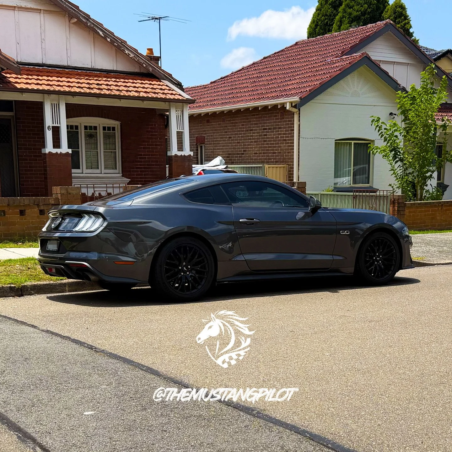 Ford Mustang 🐎 #themustangpilot #spotto #fordmustang #chasinghorizons