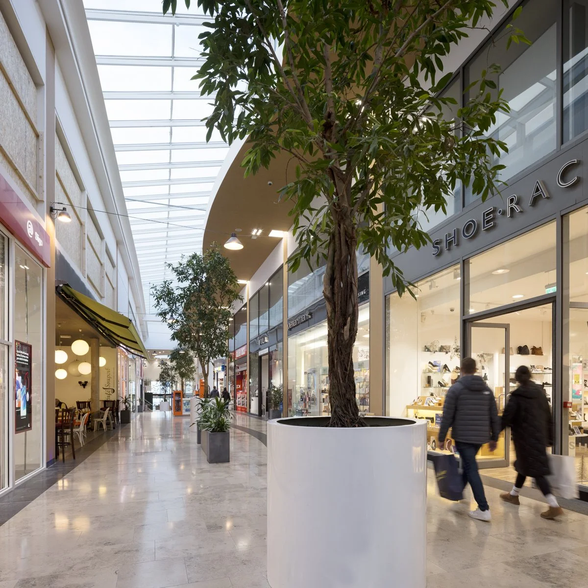 The Canopy Sligo the-canopy-sligo