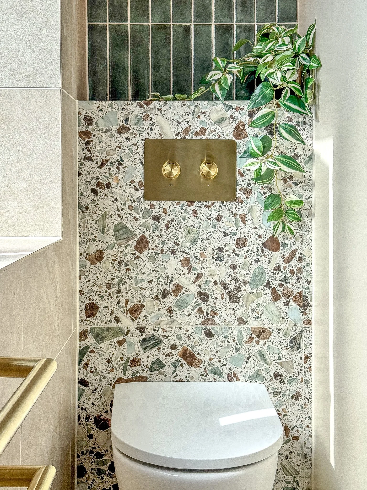 Terrazzo bathroom wall with brushed brass dual shower controls and trailing green foliage above.