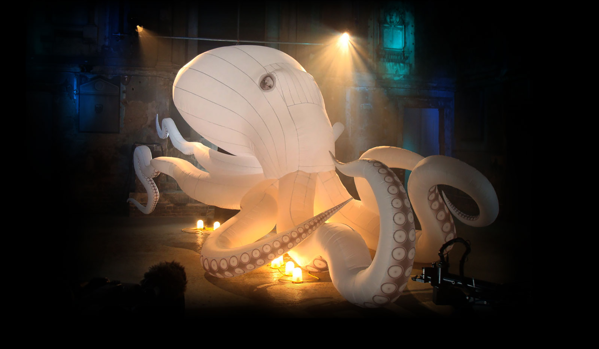 7M Octopus originally made for CBBC's Deadly Art