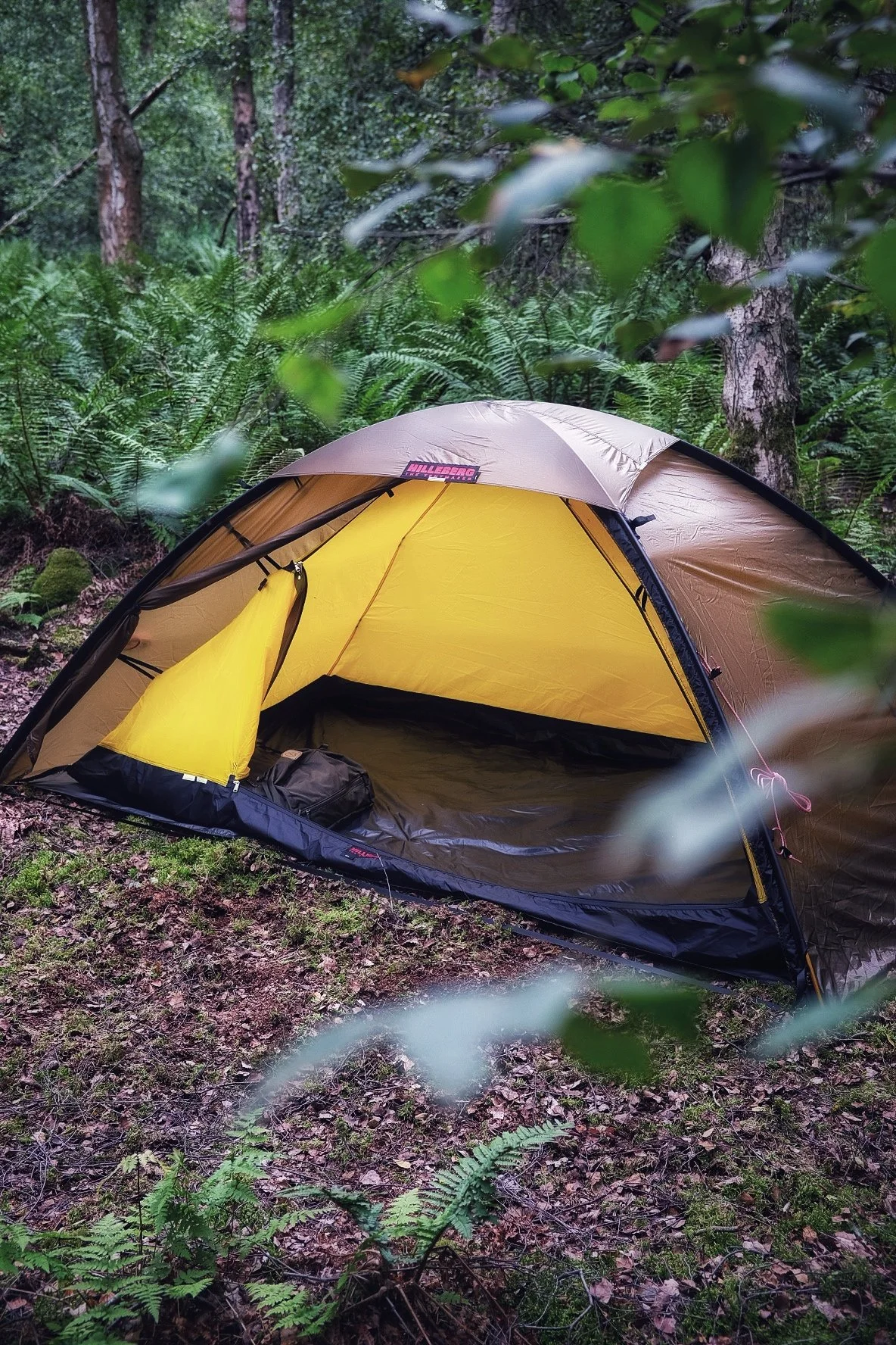 A yellow and brown camping tent set up in a forested area with leafy ground, surrounded by green ferns and trees.