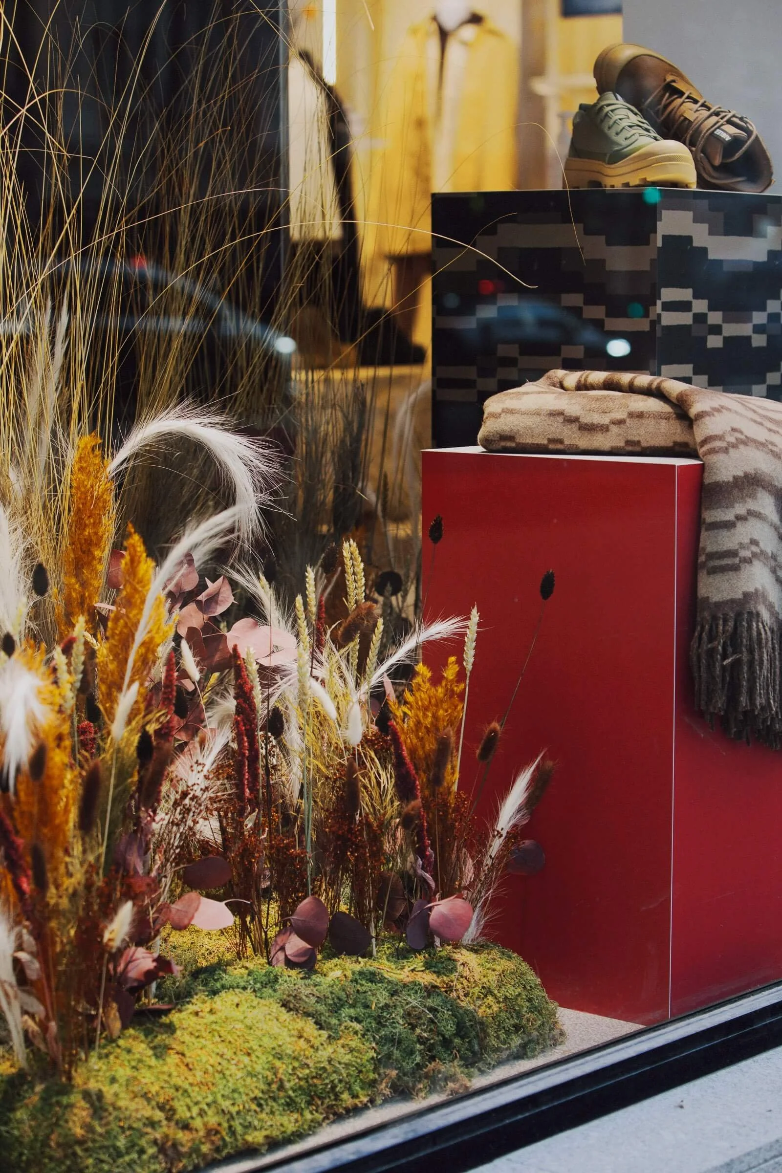 Vitrine de magasin avec des plantes sèches, des chaussures et des objets décoratifs.