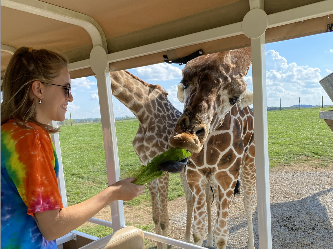 Screen Shot 2024-07-02 at 11.37.58 AM.png